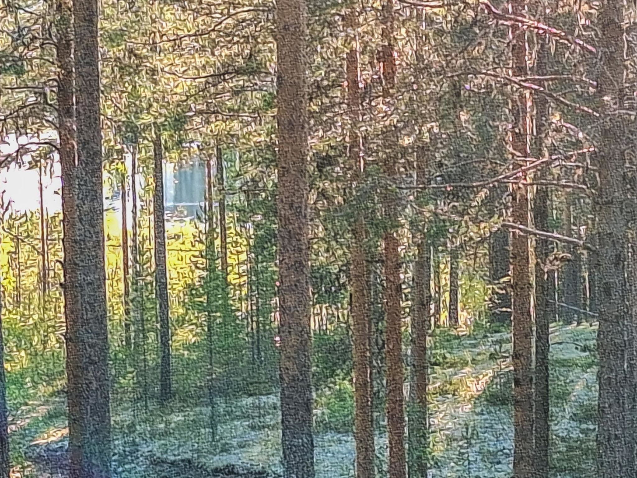 Rokua vaulutupa-Binnen