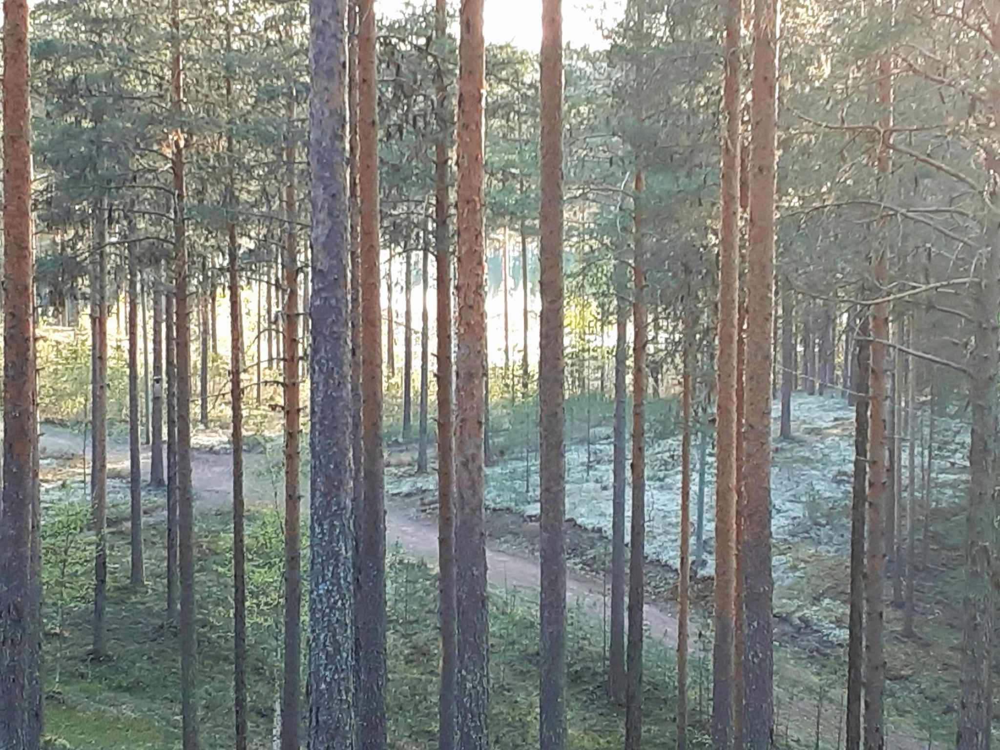 Rokua vaulutupa - Binnen