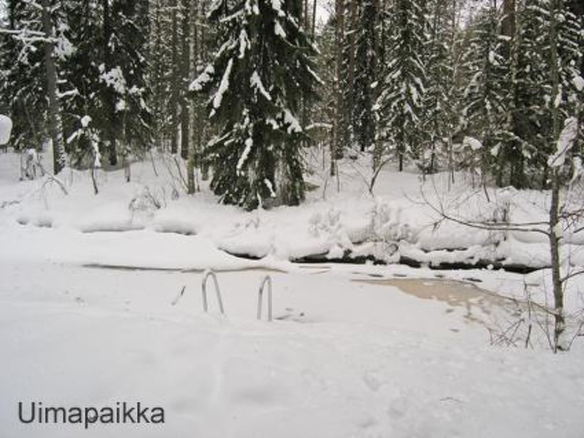 Puikkokoski - Dedans