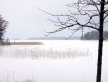 Feriebolig Divaanikivi, pätiälän kartanon loma