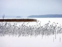 Feriebolig Divaanikivi, pätiälän kartanon loma