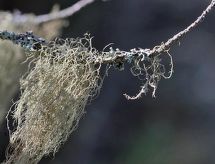 Feriebolig Divaanikivi, pätiälän kartanon loma