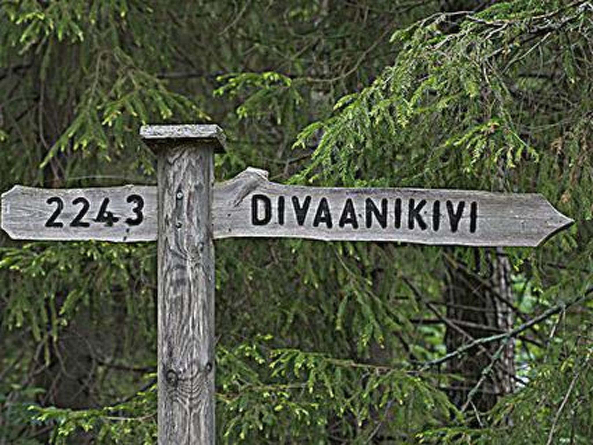 Maison Divaanikivi – Intérieur, photo 32 sur 56