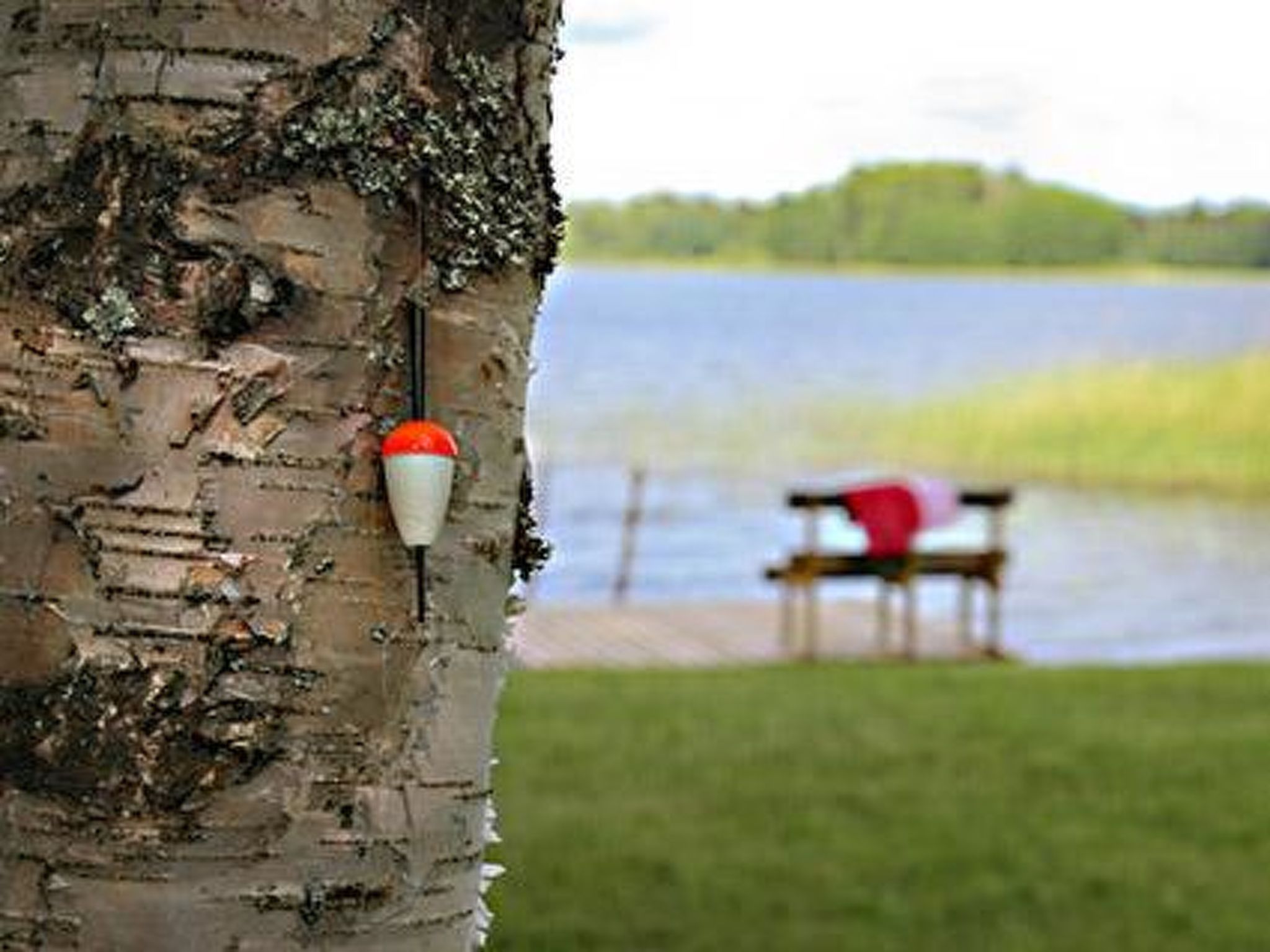 Kopinkallio 2-Binnen