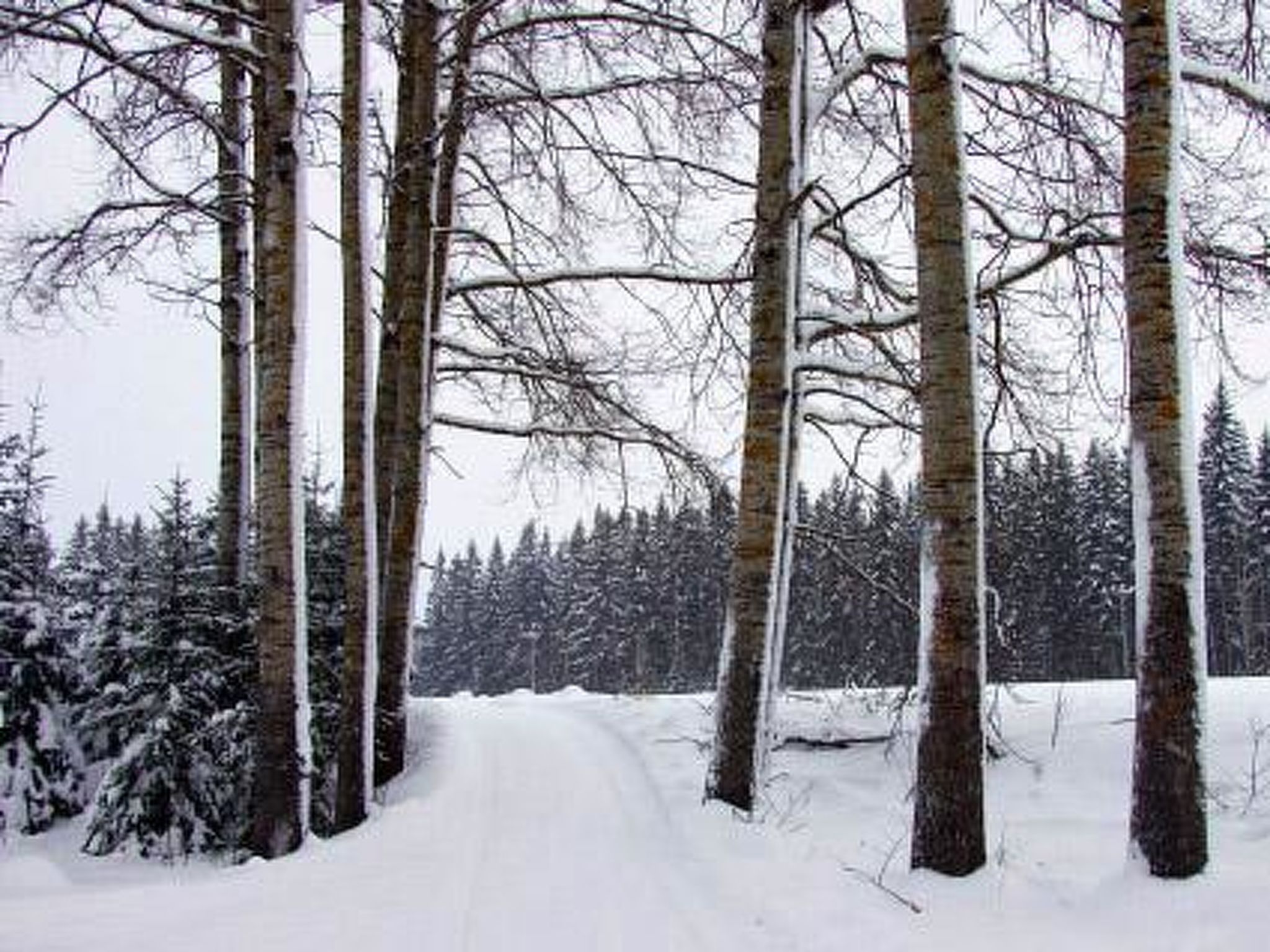 Kopinkallio 2-Binnen