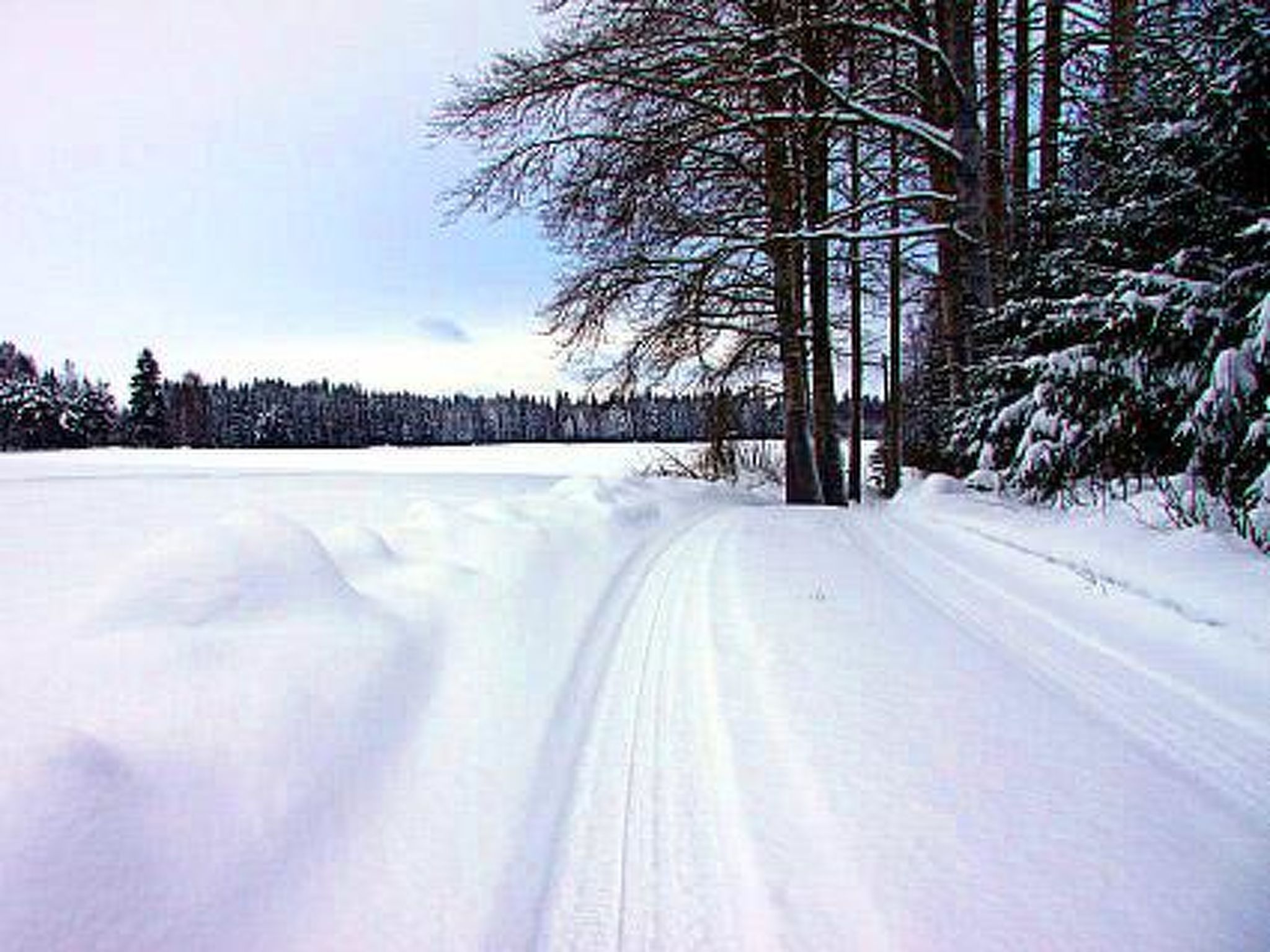 Kopinkallio 2-Binnen