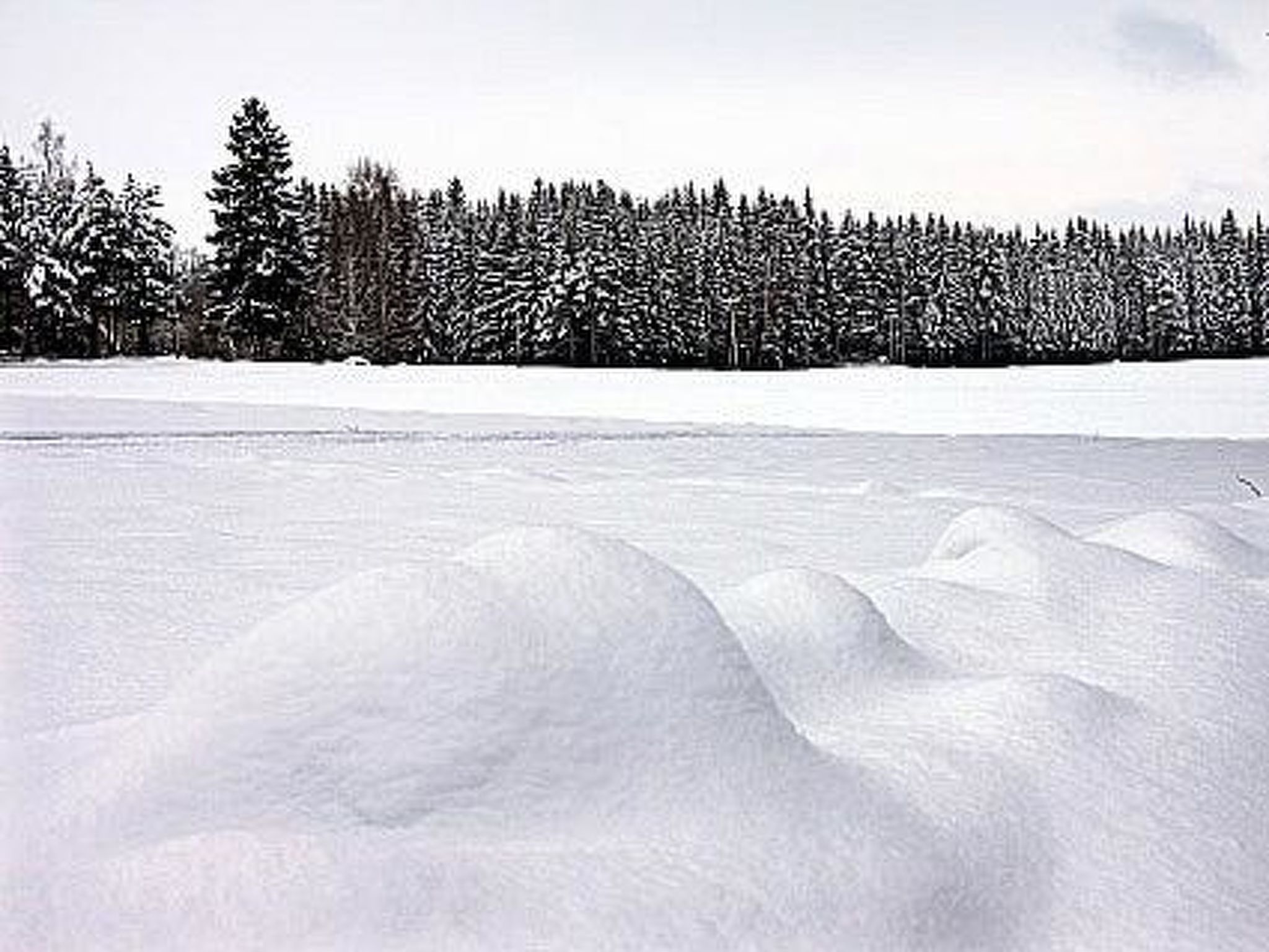 Kopinkallio 2-Binnen