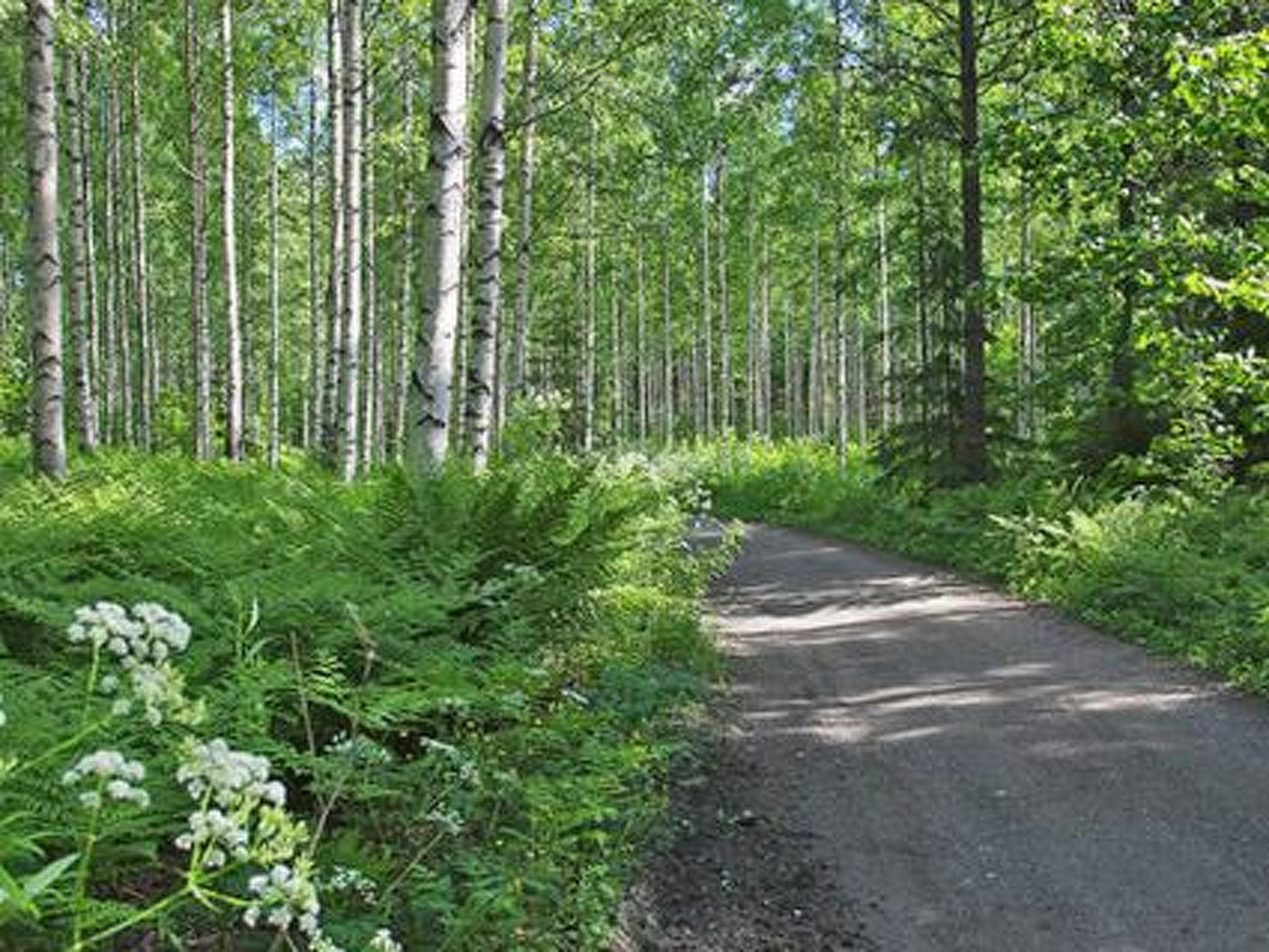 Kopinkallio 2 - Inside