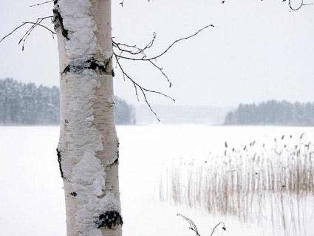 Bild 20