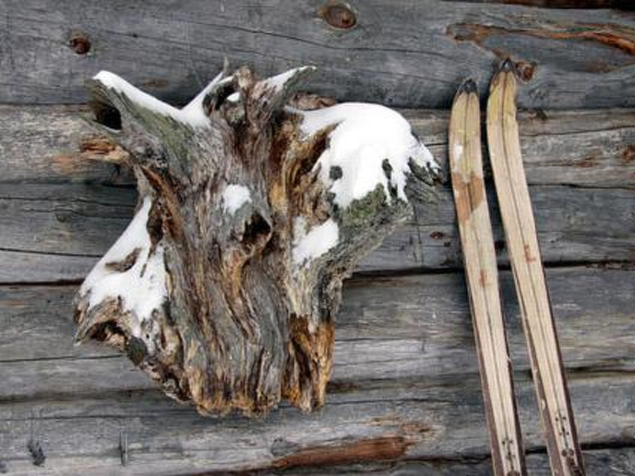 Kopinkallio 1-Binnen