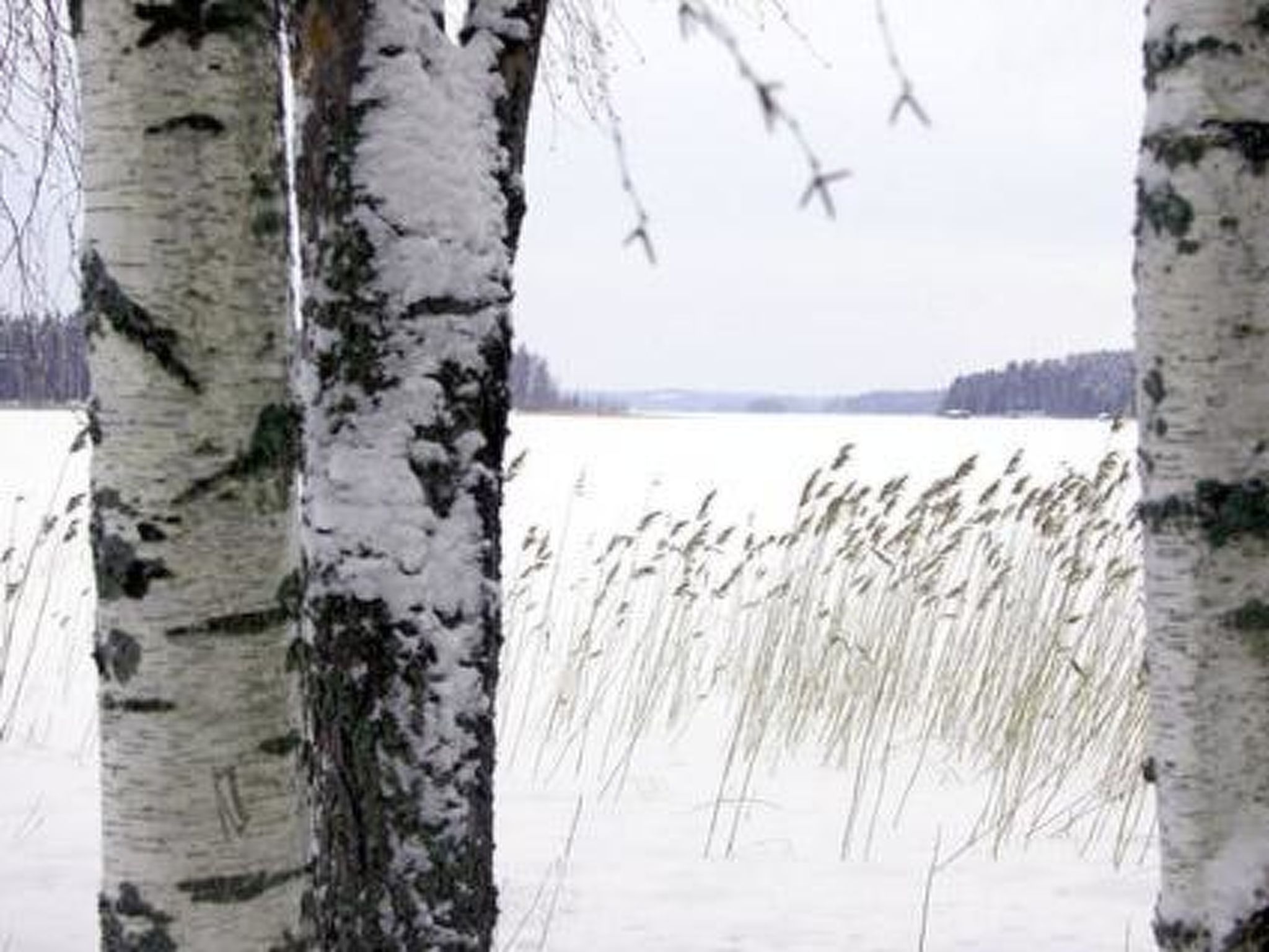 Kopinkallio 1-Binnen