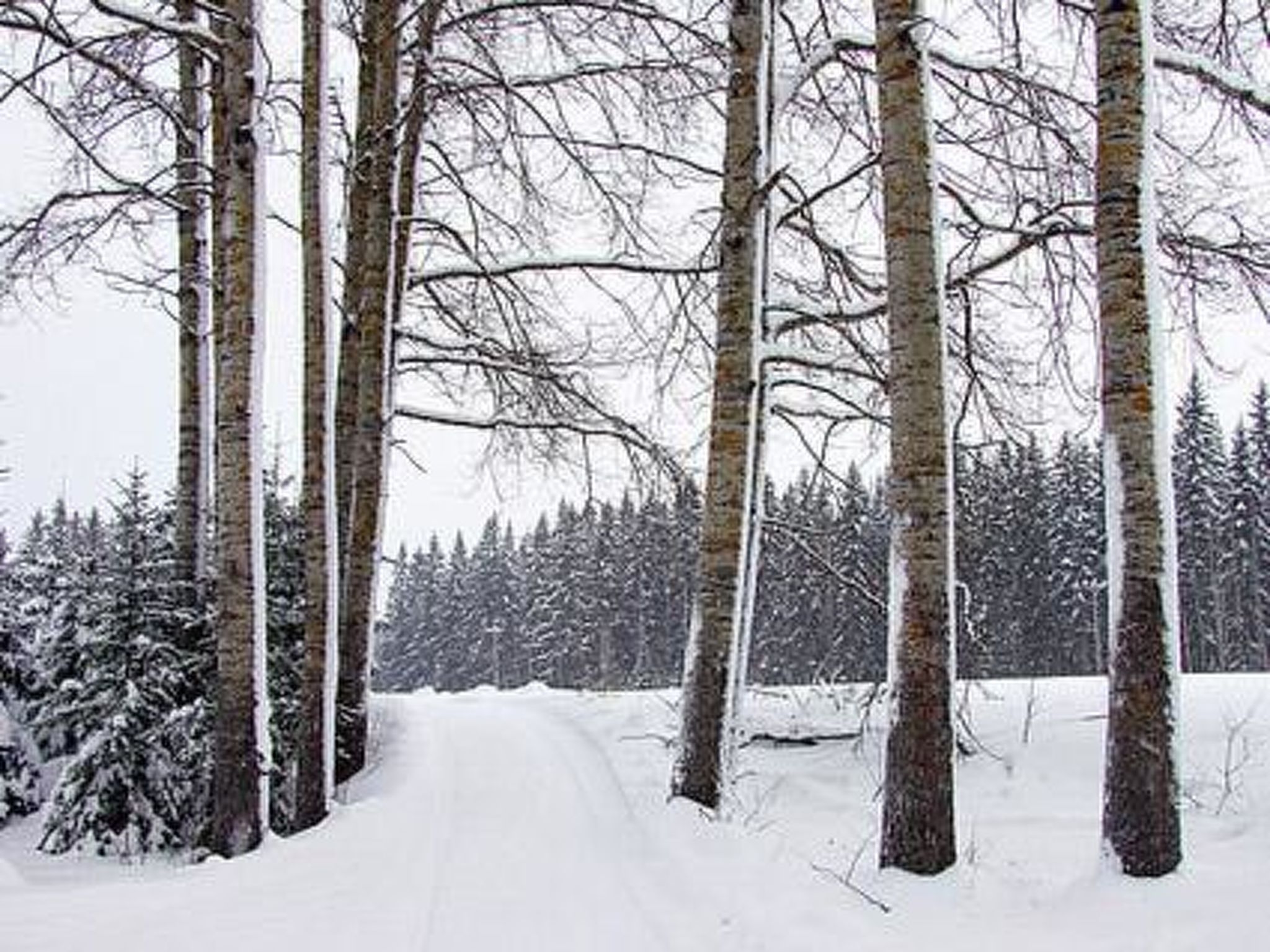 Kopinkallio 1-Binnen