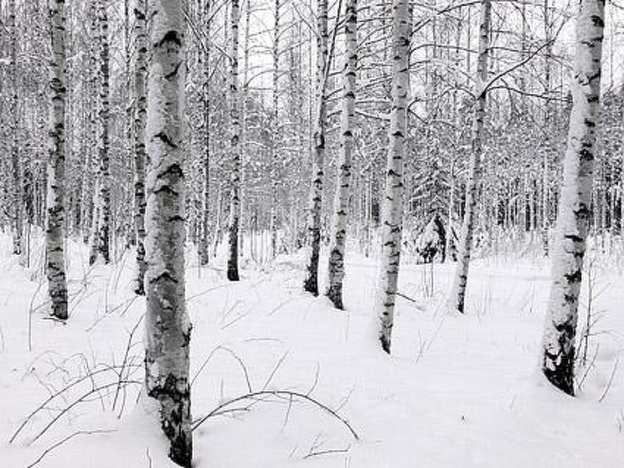 Kopinkallio 1-Binnen