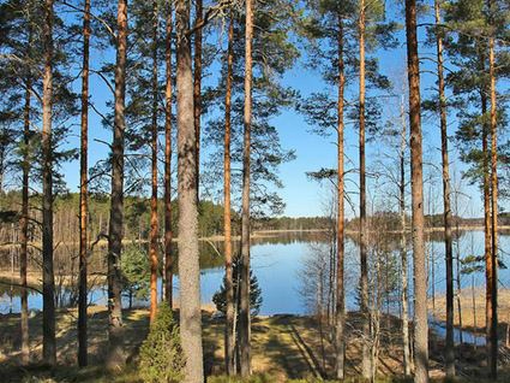 Maison Näätämö – Intérieur, photo 3 sur 42