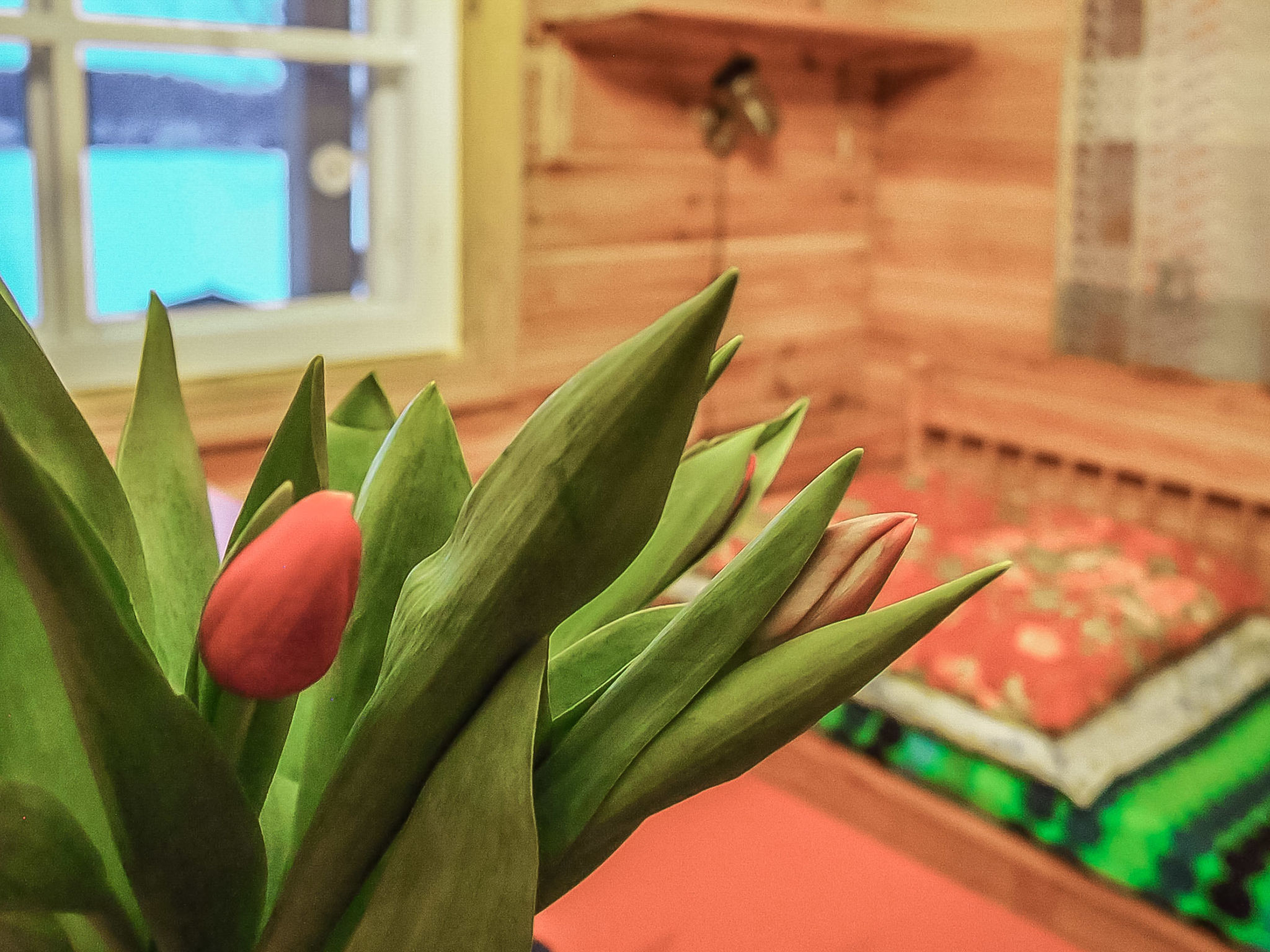 Maison Villa siesta – Intérieur, photo 21 sur 52
