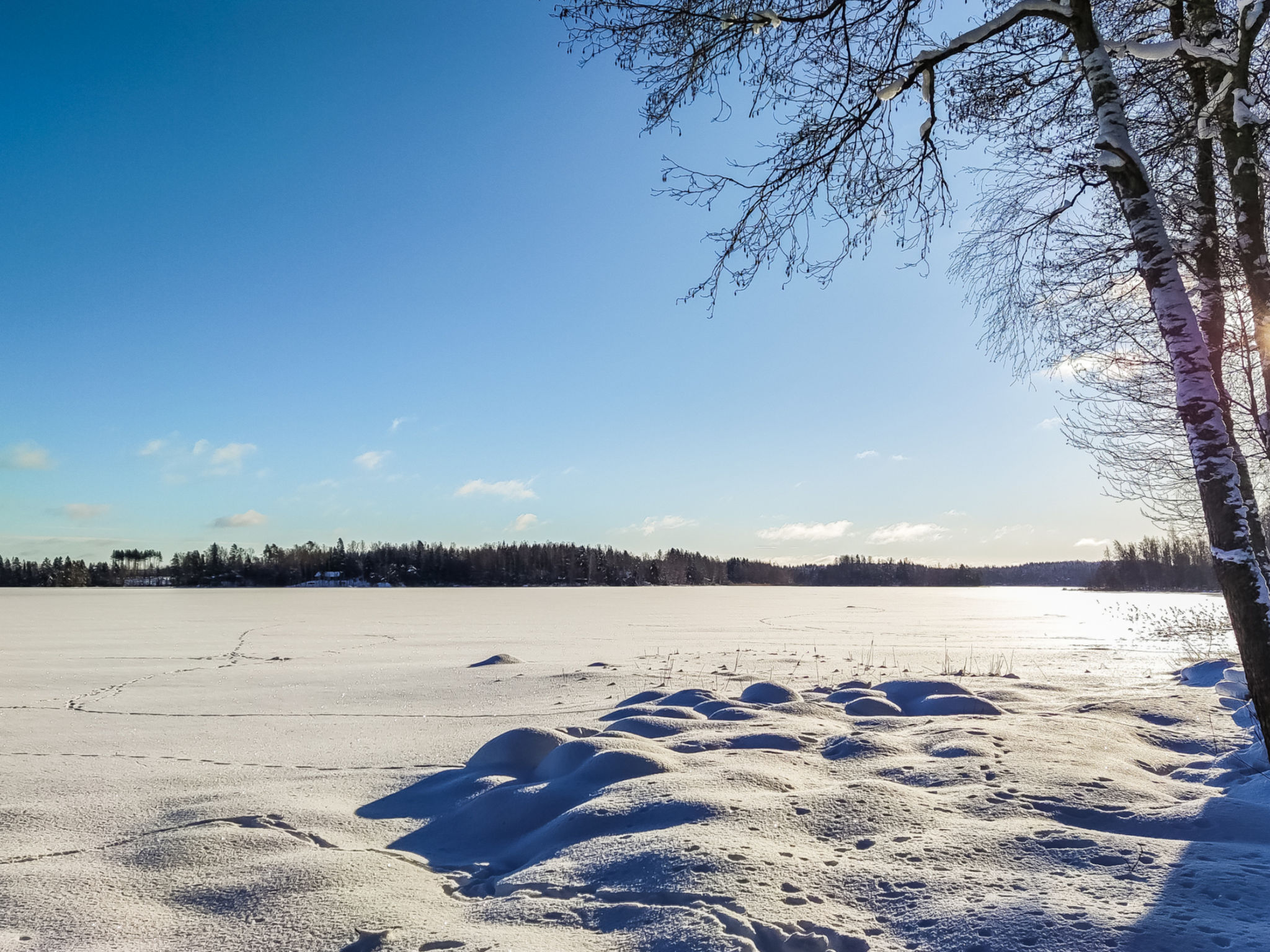 Annelinniemi
