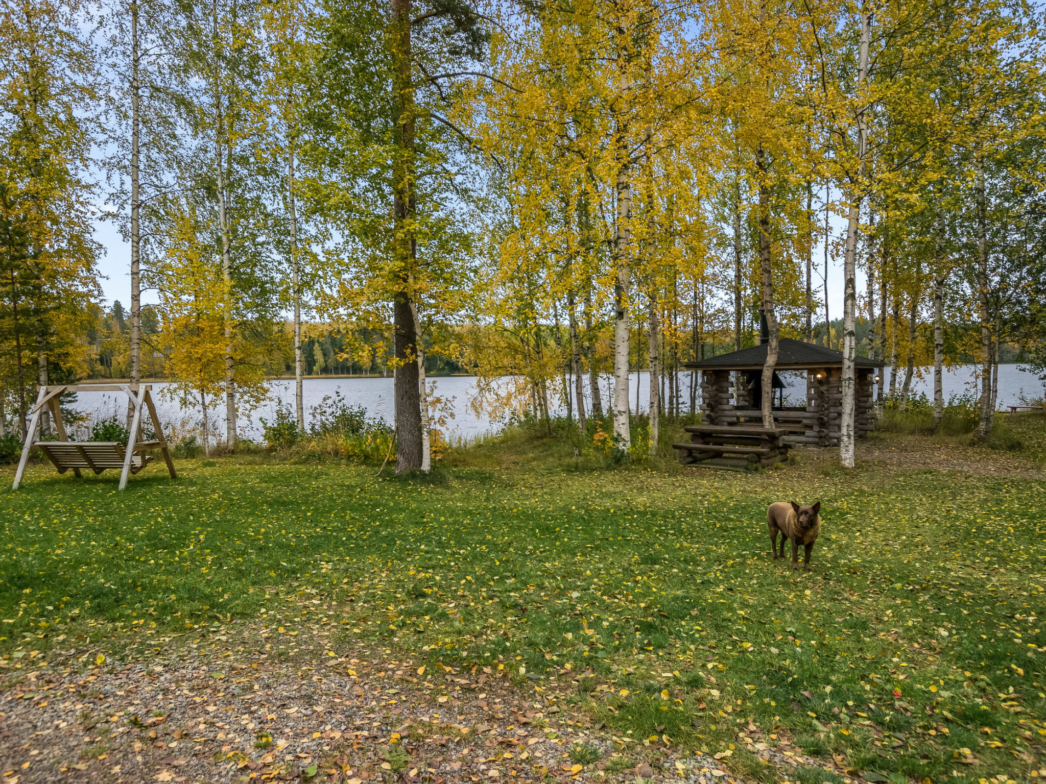 Maison Talasniemi – Intérieur, photo 18 sur 88