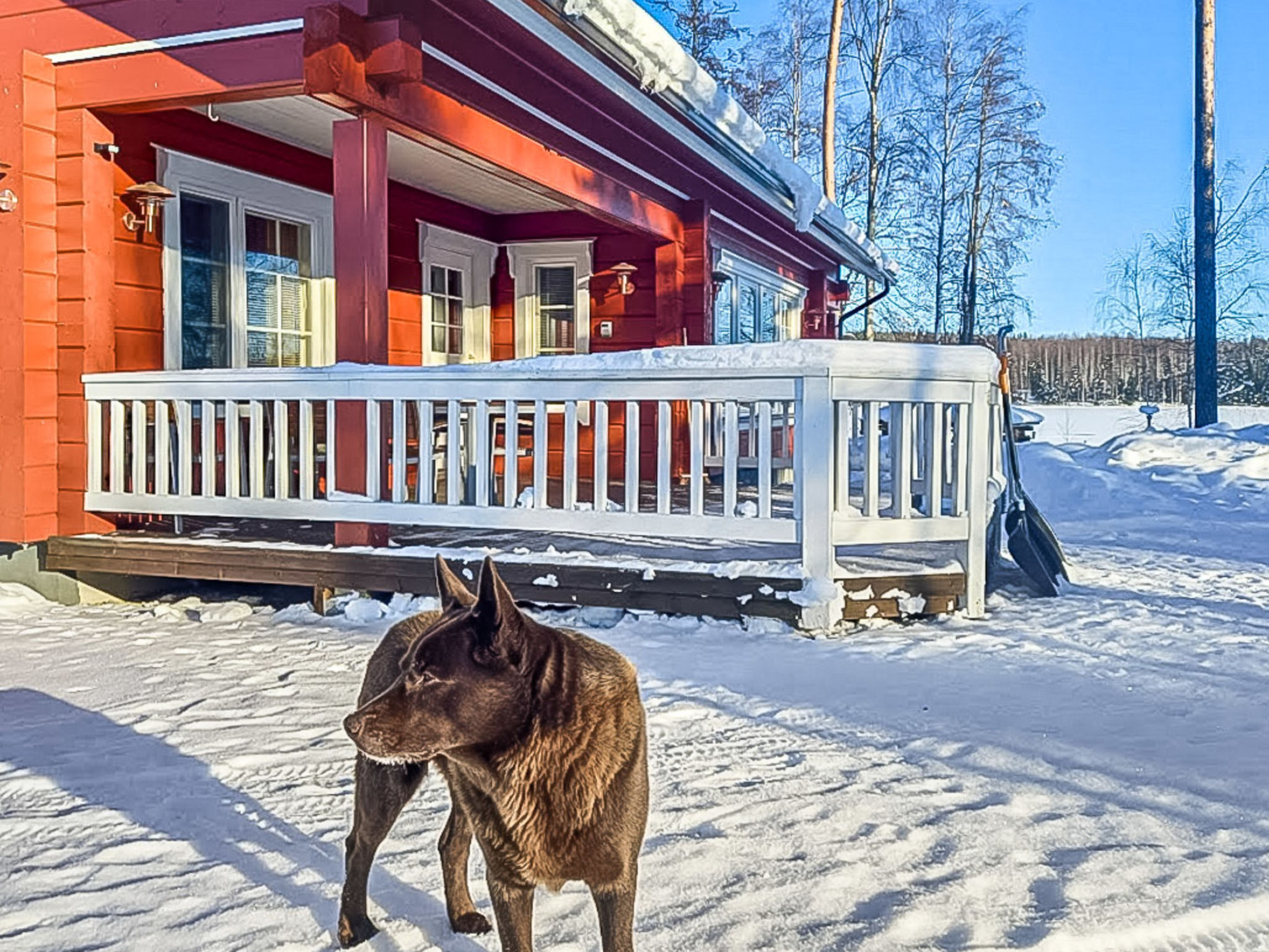 Maison Kuikanranta – Intérieur, photo 51 sur 56