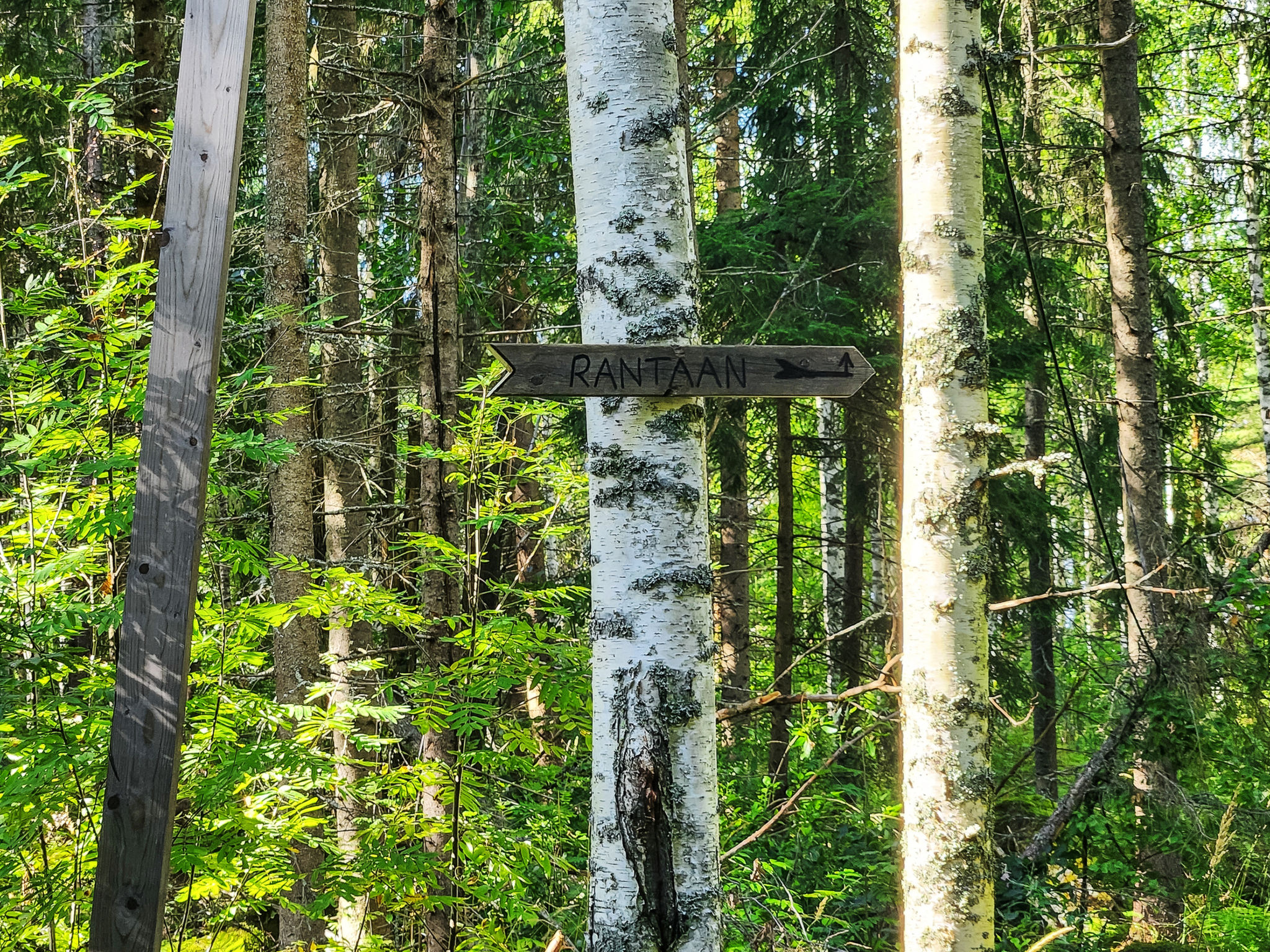 Villa soittoranta-Binnen