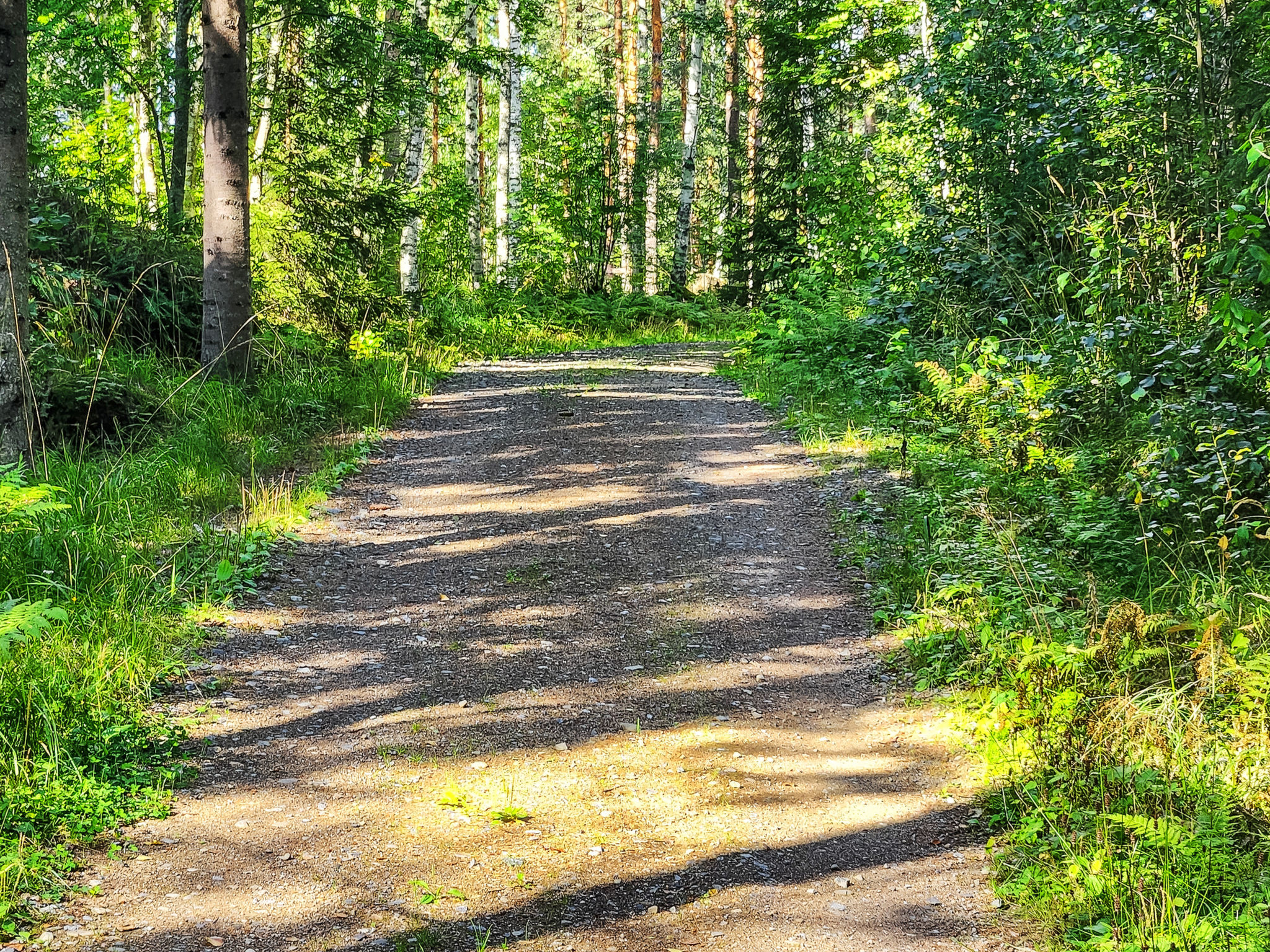 Villa soittoranta-Binnen