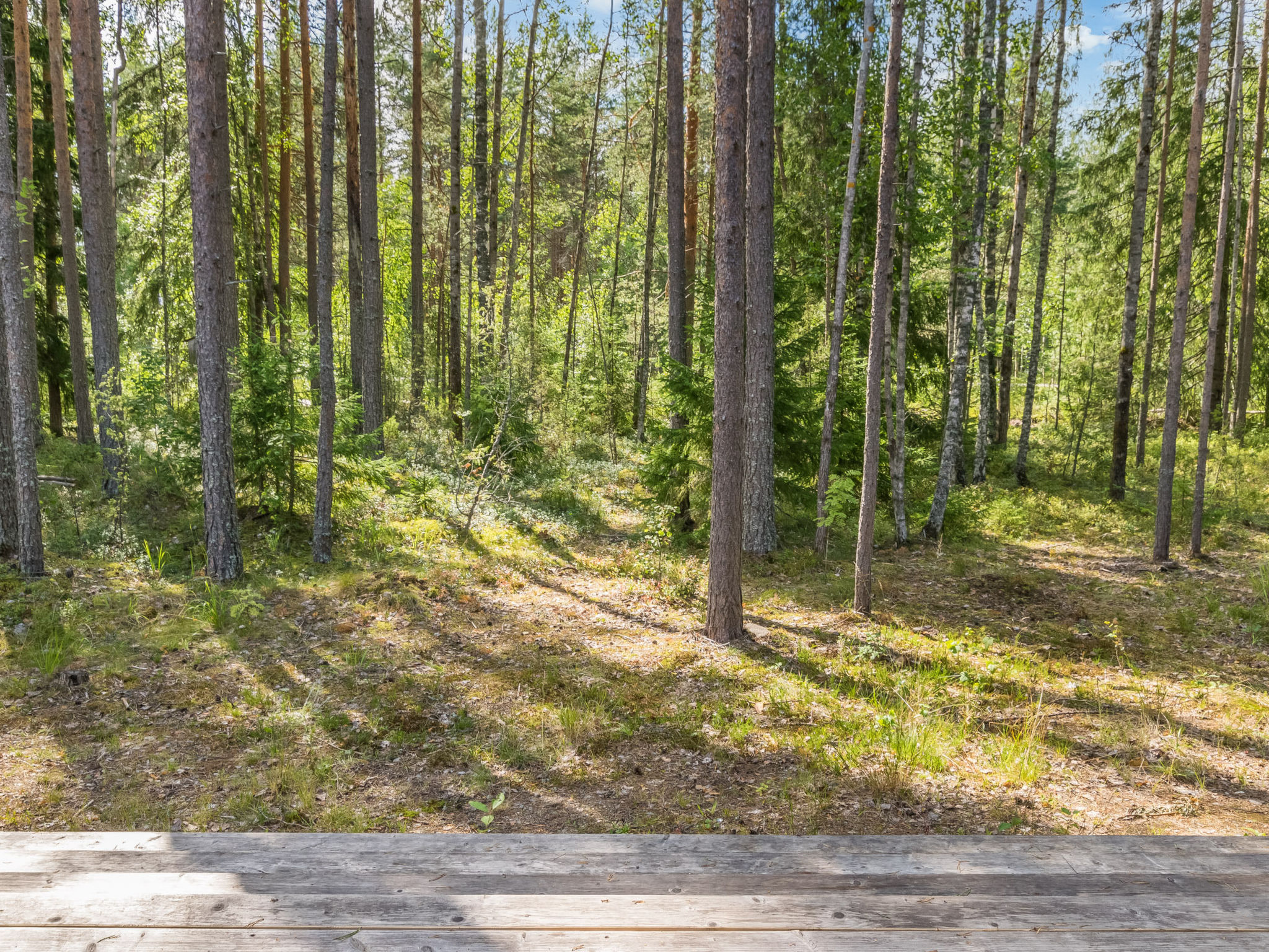 Maison Villa väiski – Intérieur, photo 23 sur 54