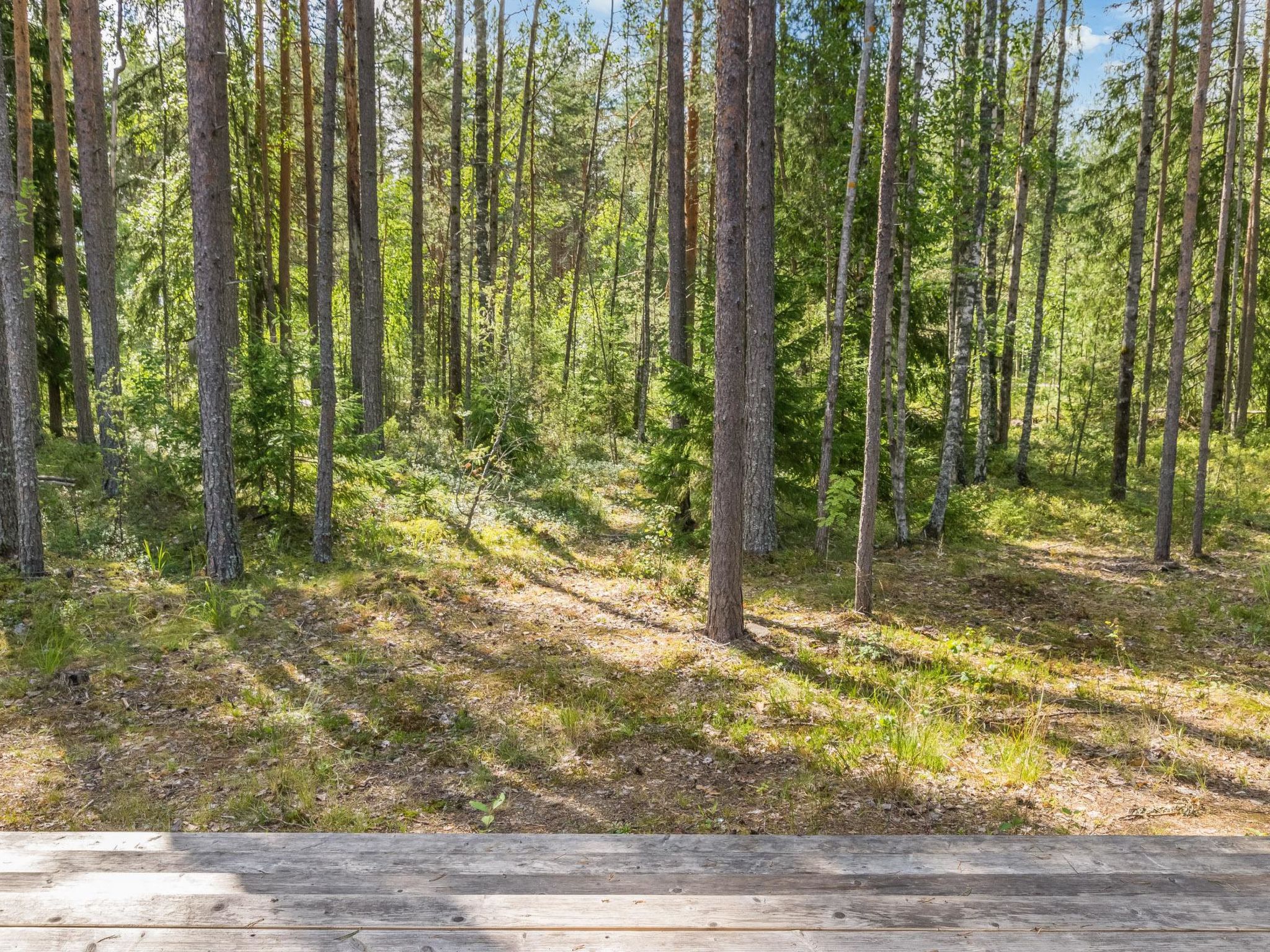 Villa väiski-Binnen