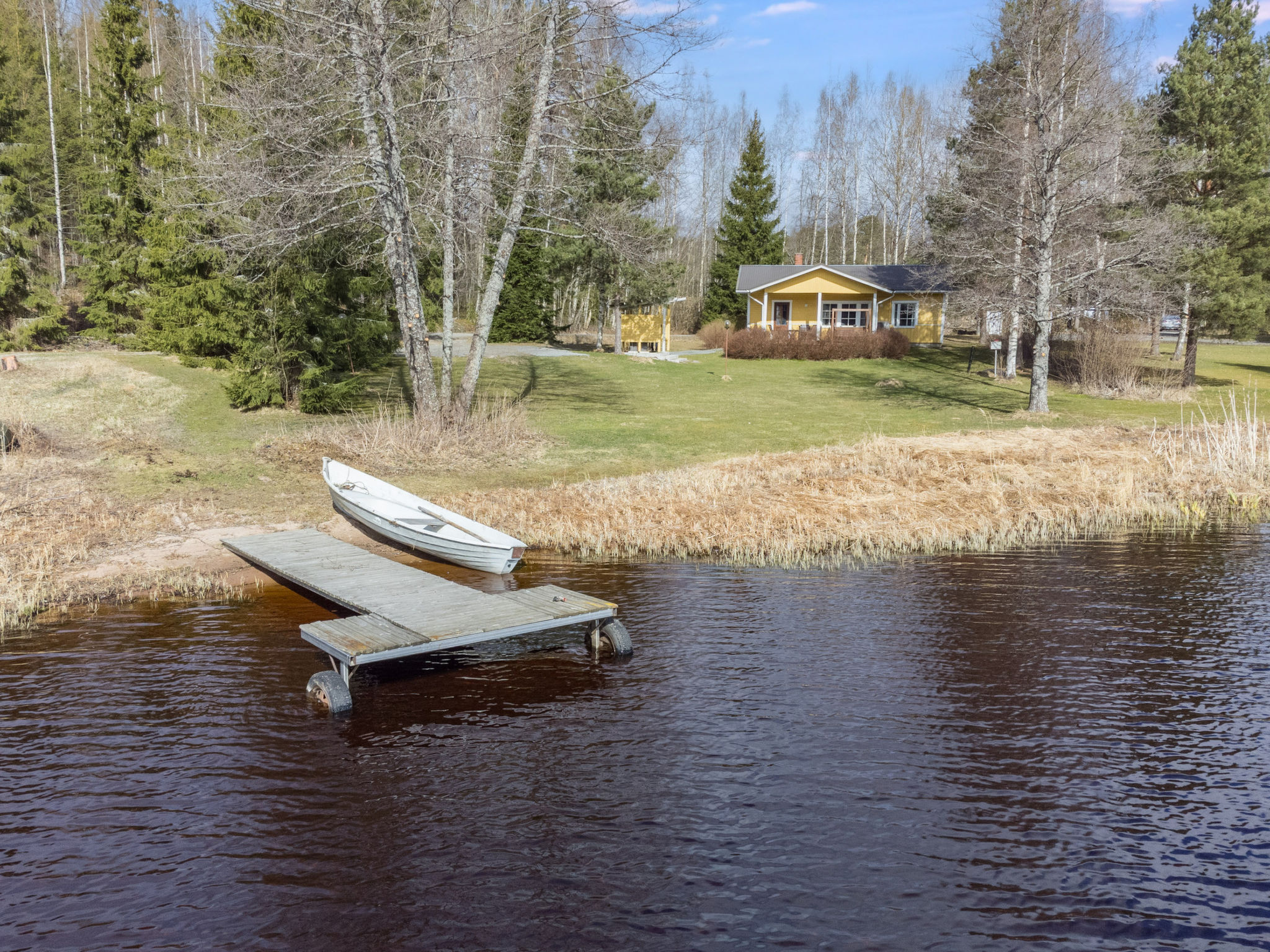 Keltavuokko