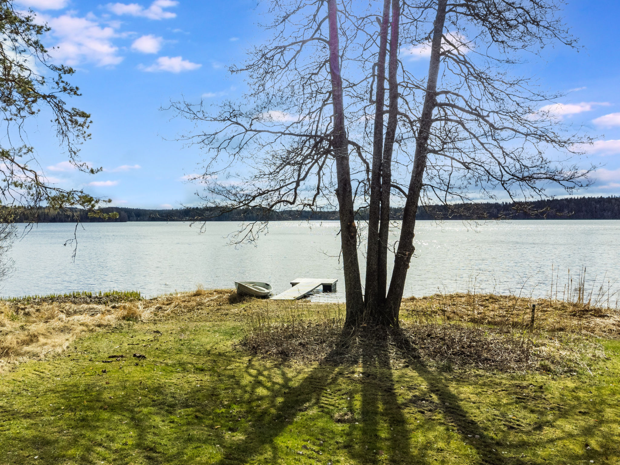 Keltalilja