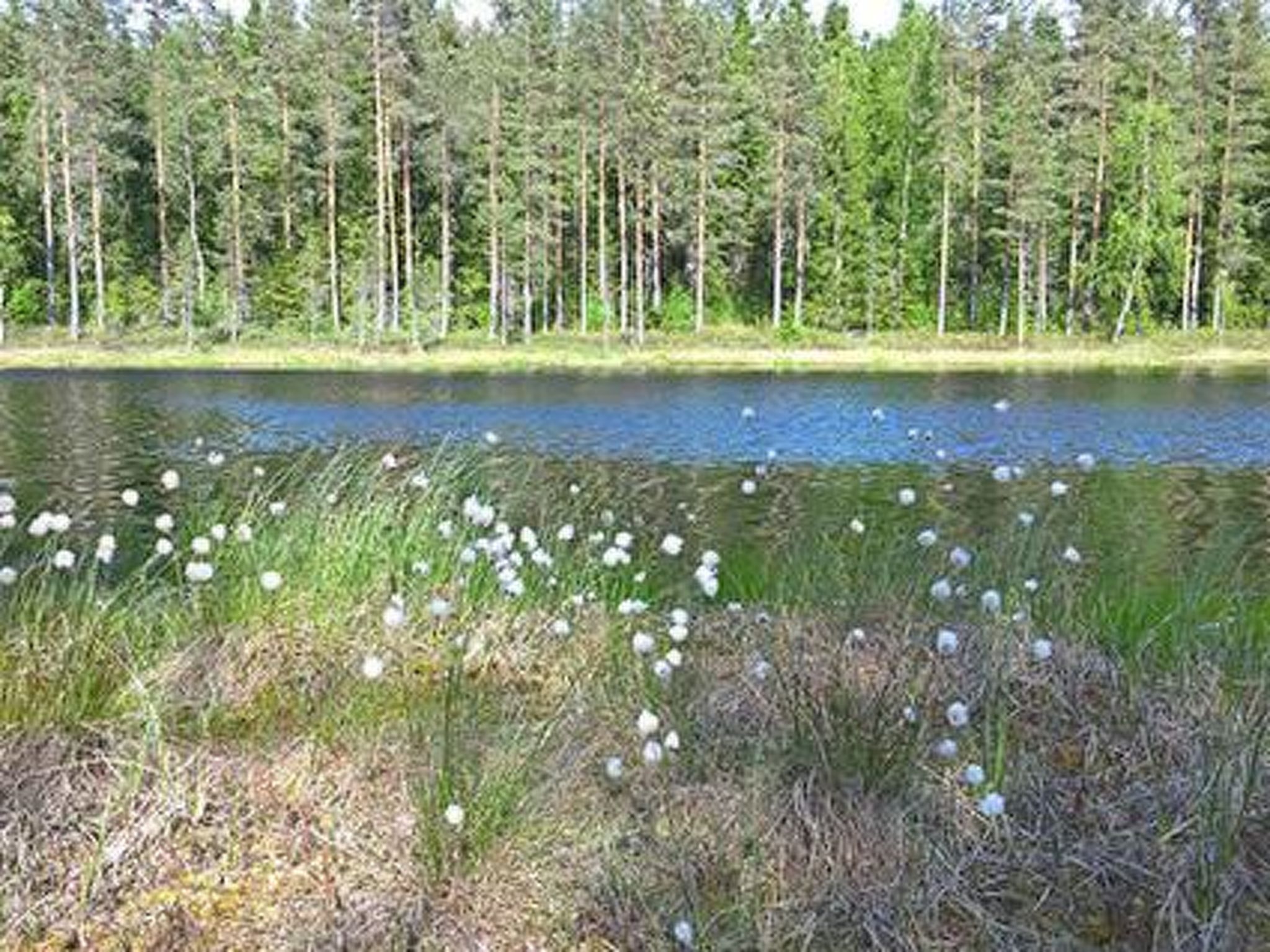 Pihnari - Drinnen