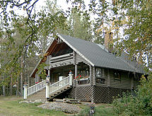 Villa vuorikotka