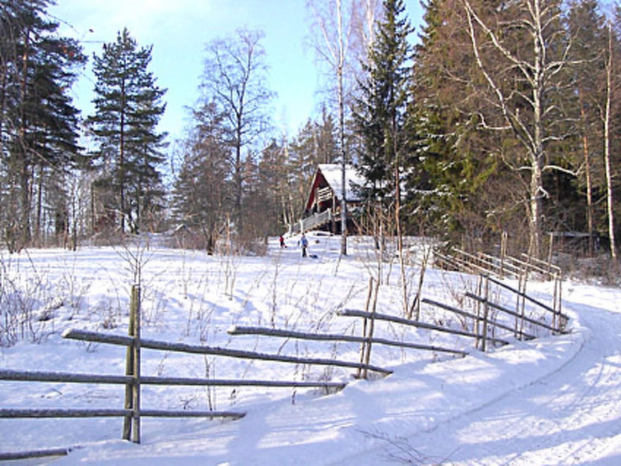 Villa vuorikotka