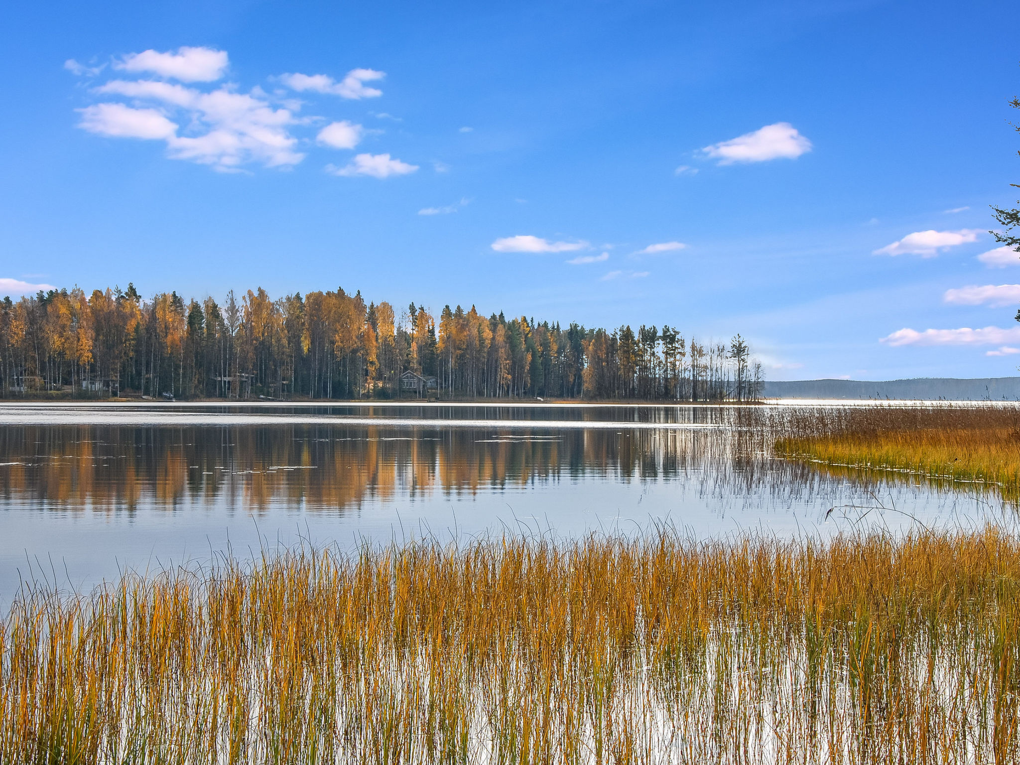 Mänty-linna