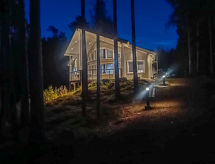 Villa Lokinkärki: Modern Fin chalet direct aan het Längelmävesi meer - thumbnail 1