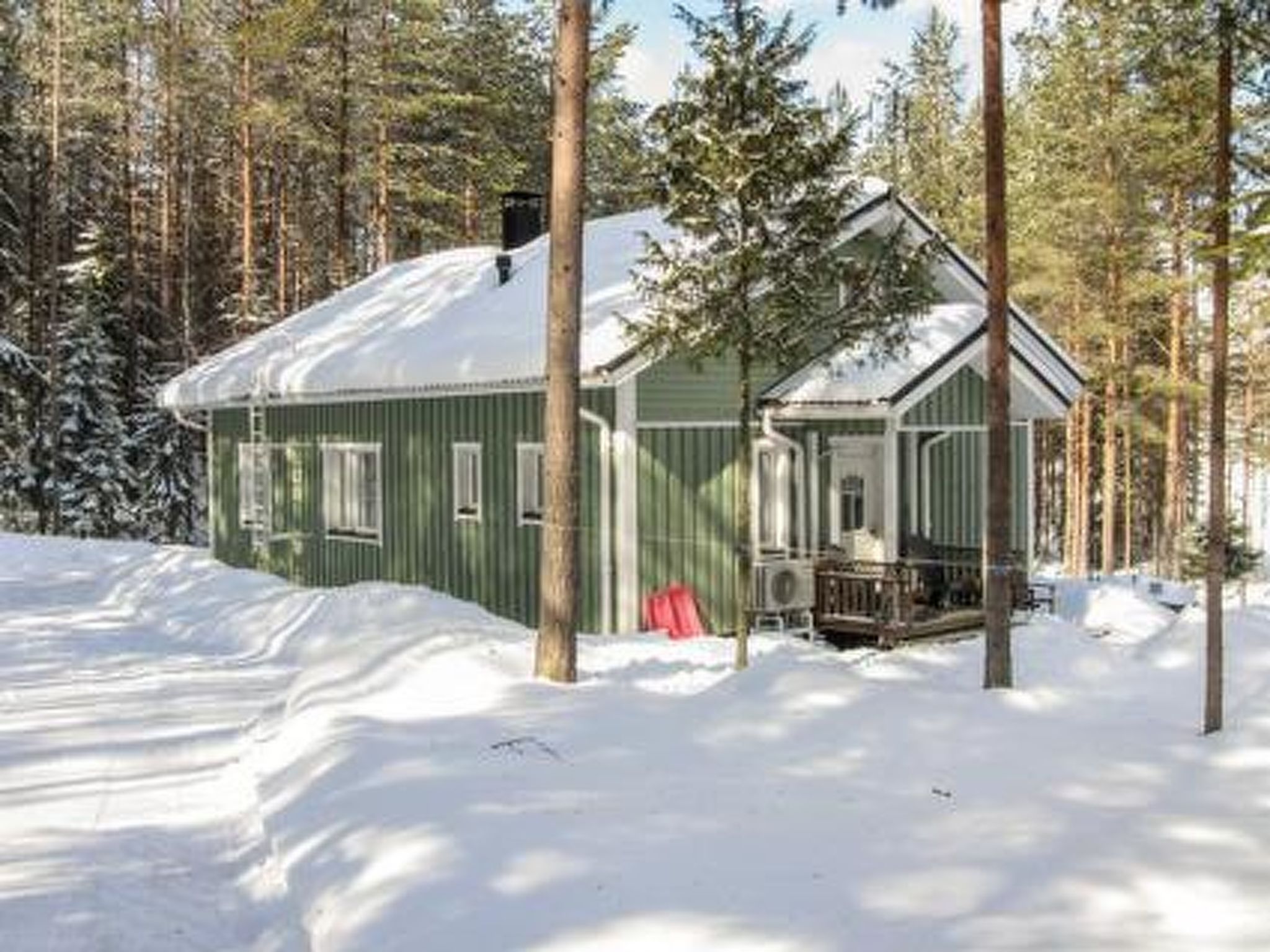 Kuikka