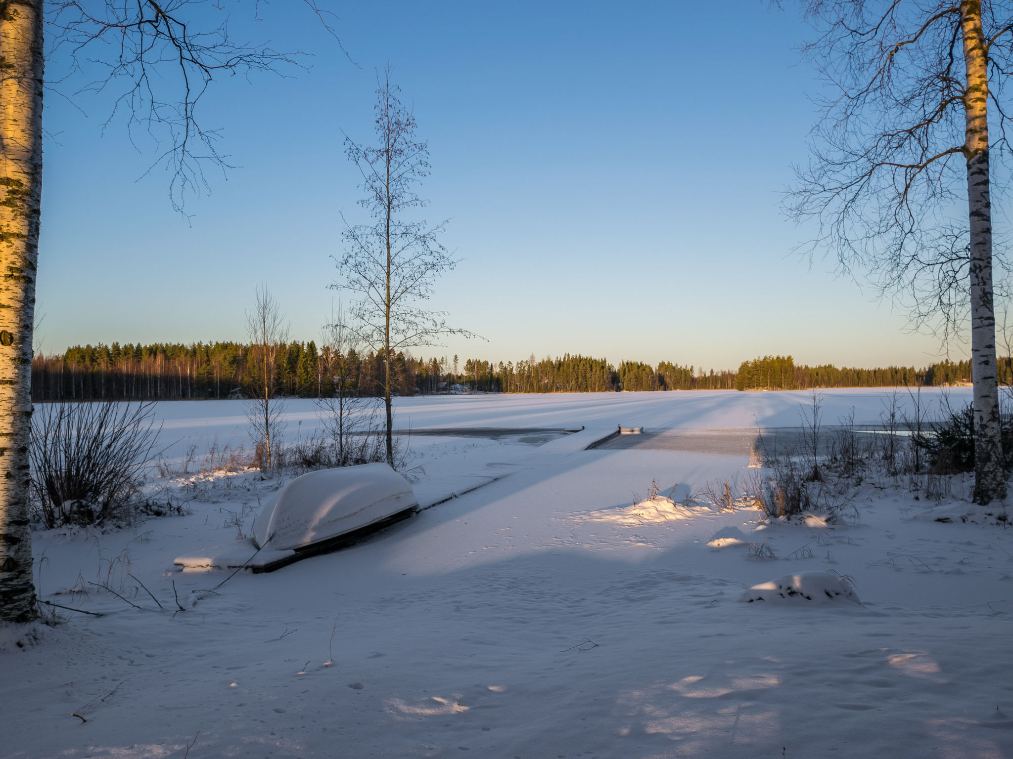 Niittytupa