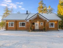 Näsinjoutsen