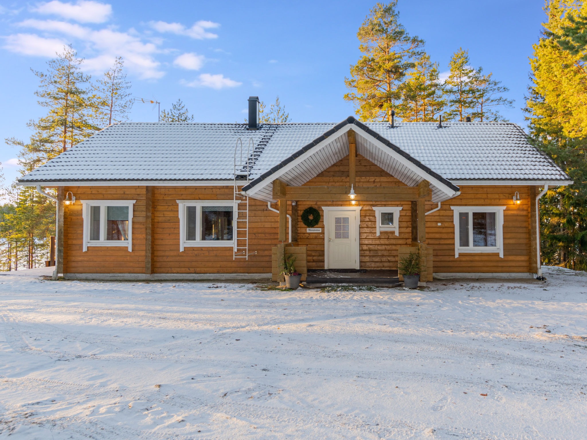 Näsinjoutsen