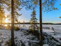 Näsinneito