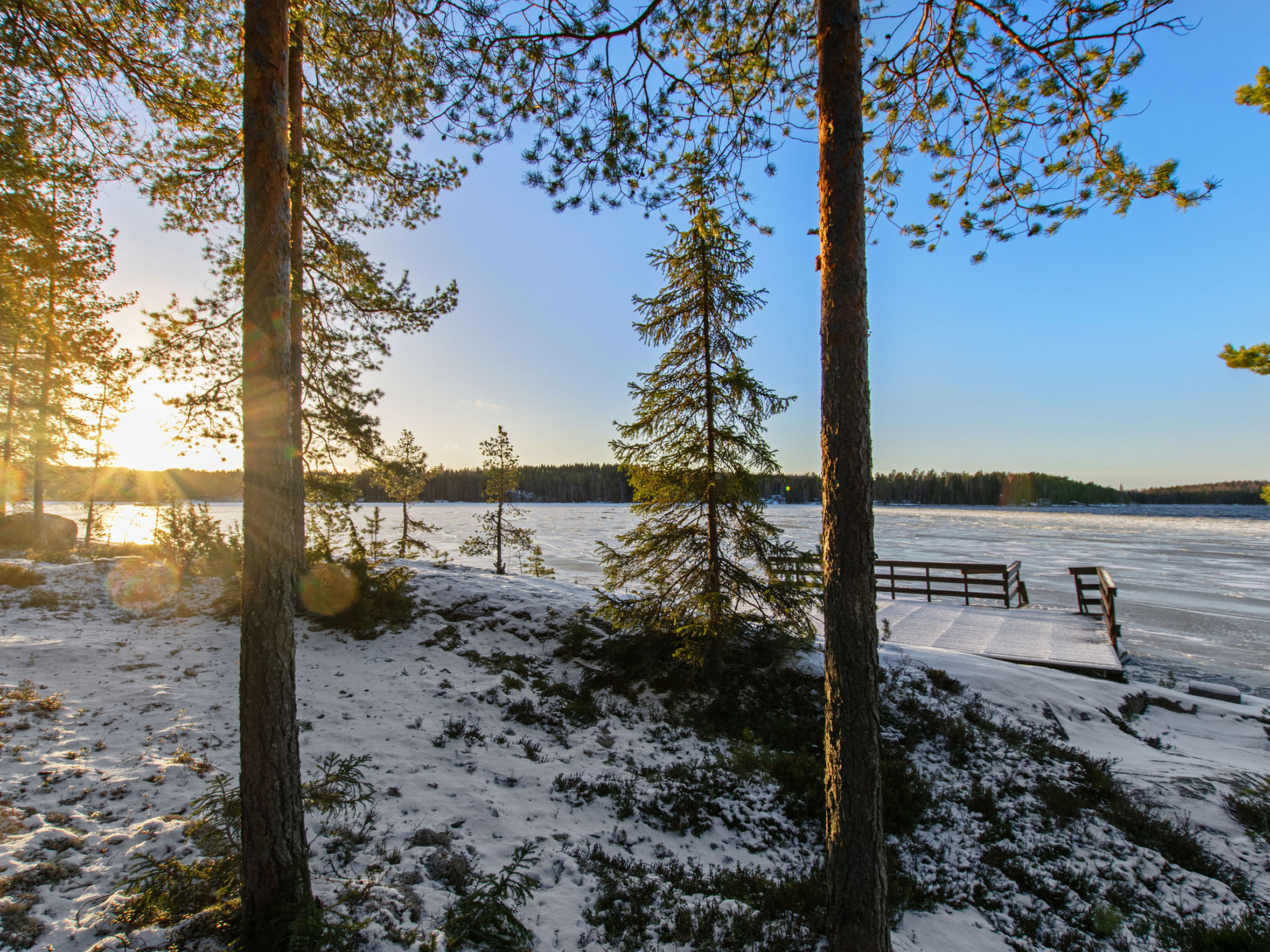 Näsinneito