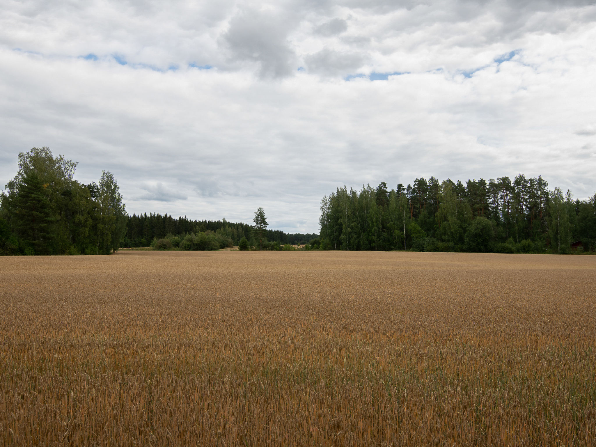 Virtaan väentupa - Dedans