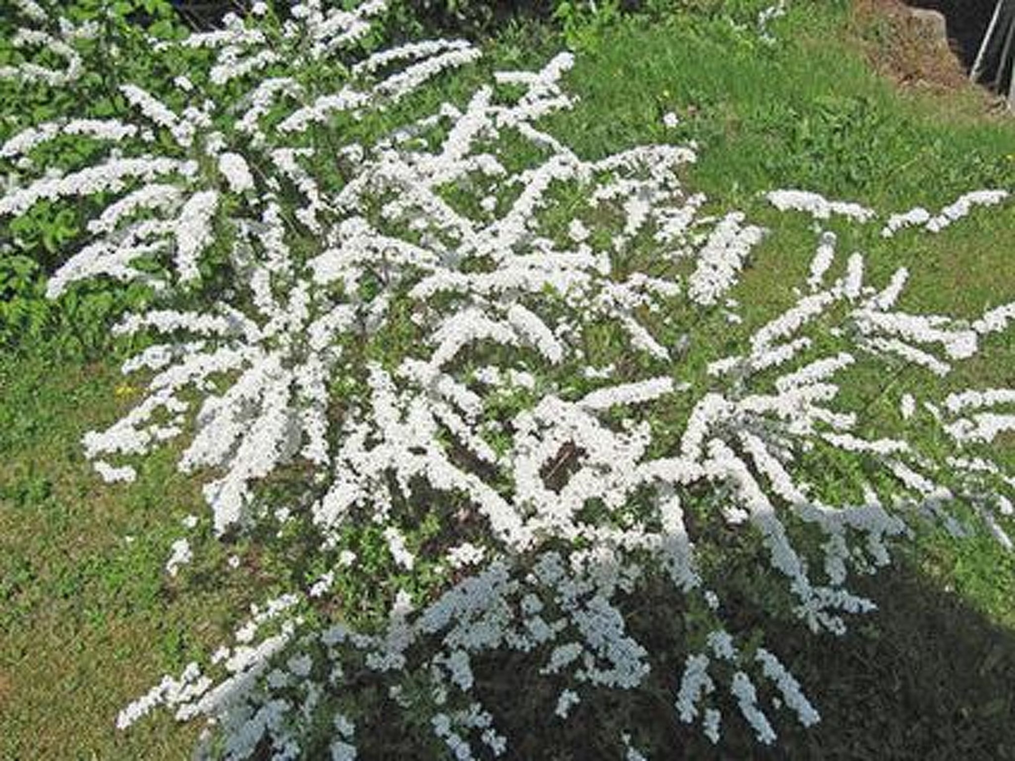 Viljamaan lomamökit 2-Binnen