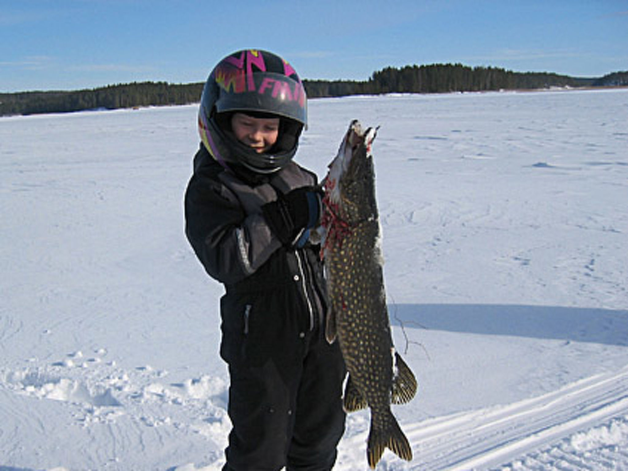 Viljamaan lomamökit 2-Binnen