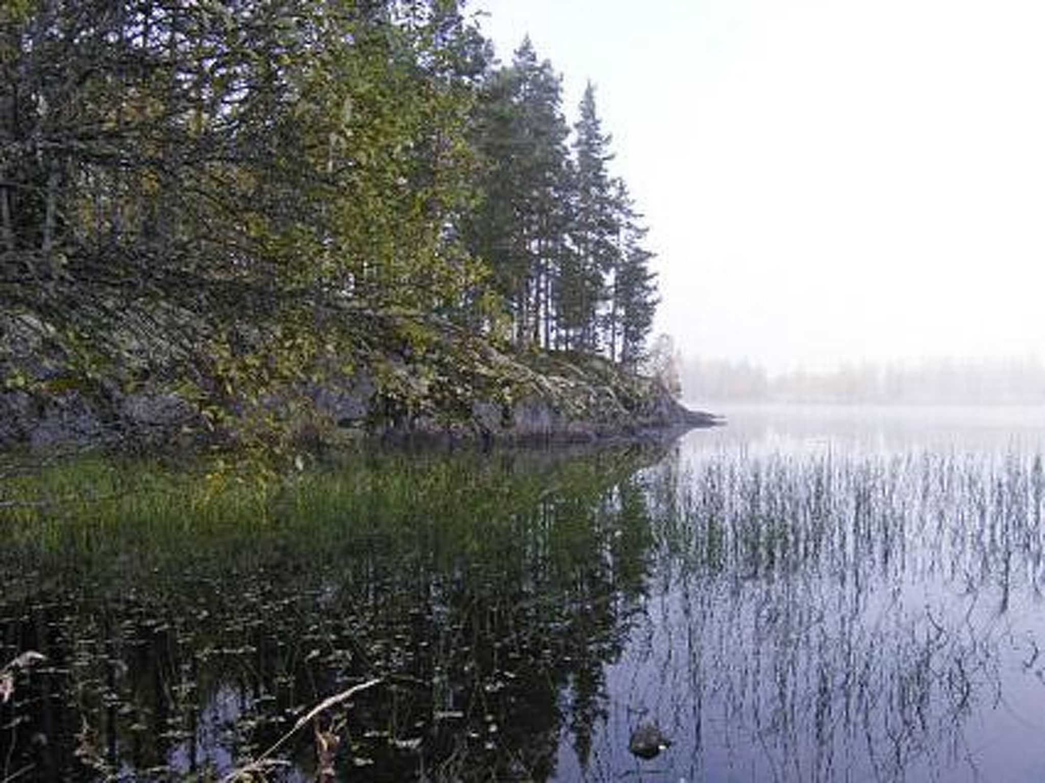 Niittylahti - Binnen