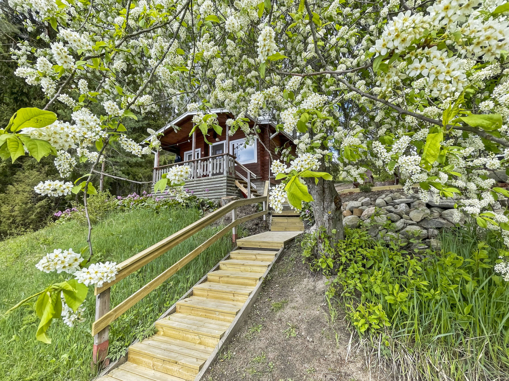 Hellinki - Binnen