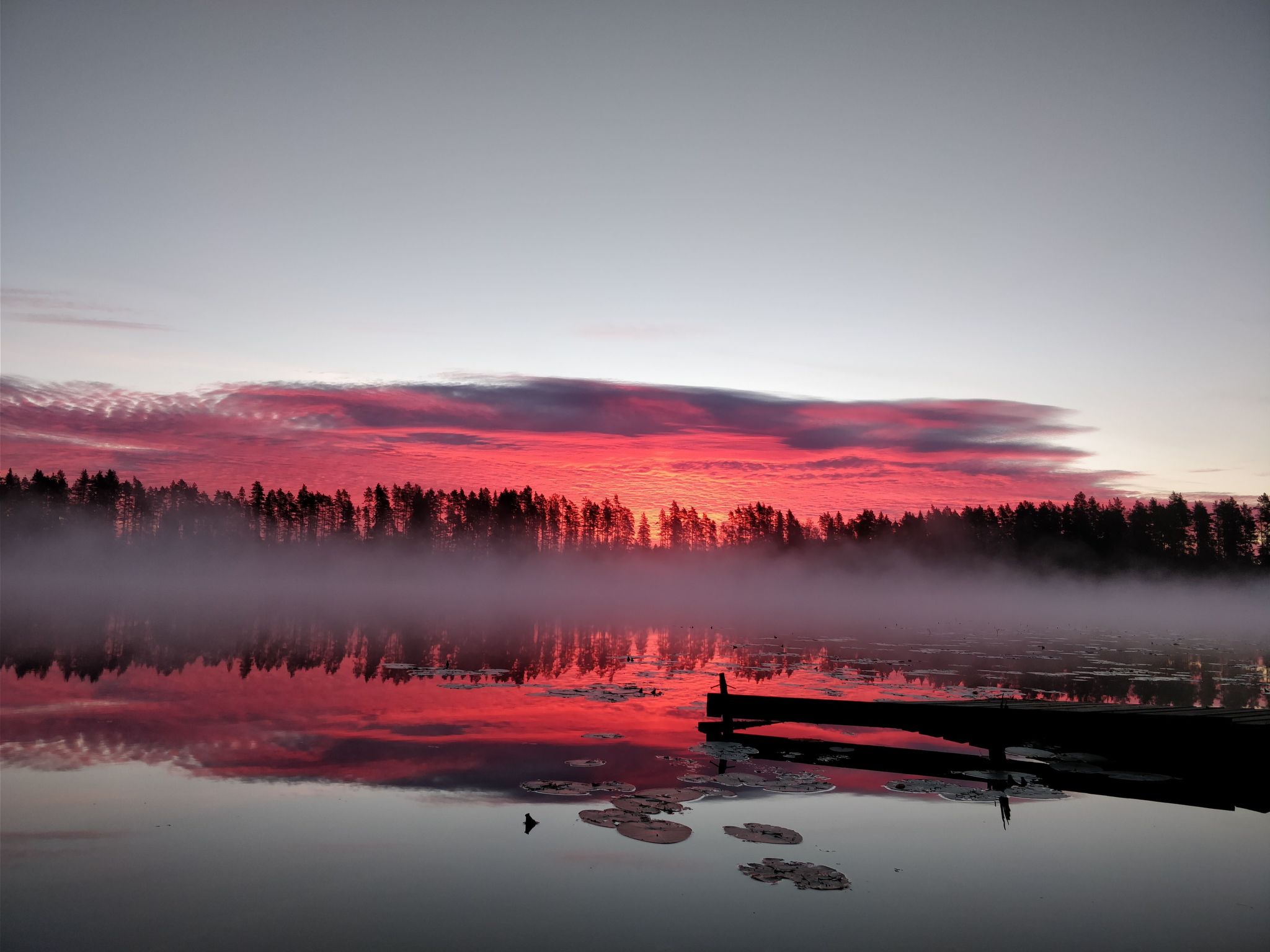 Skandinavisches Ferienappartement inmitten der Natur-Inside