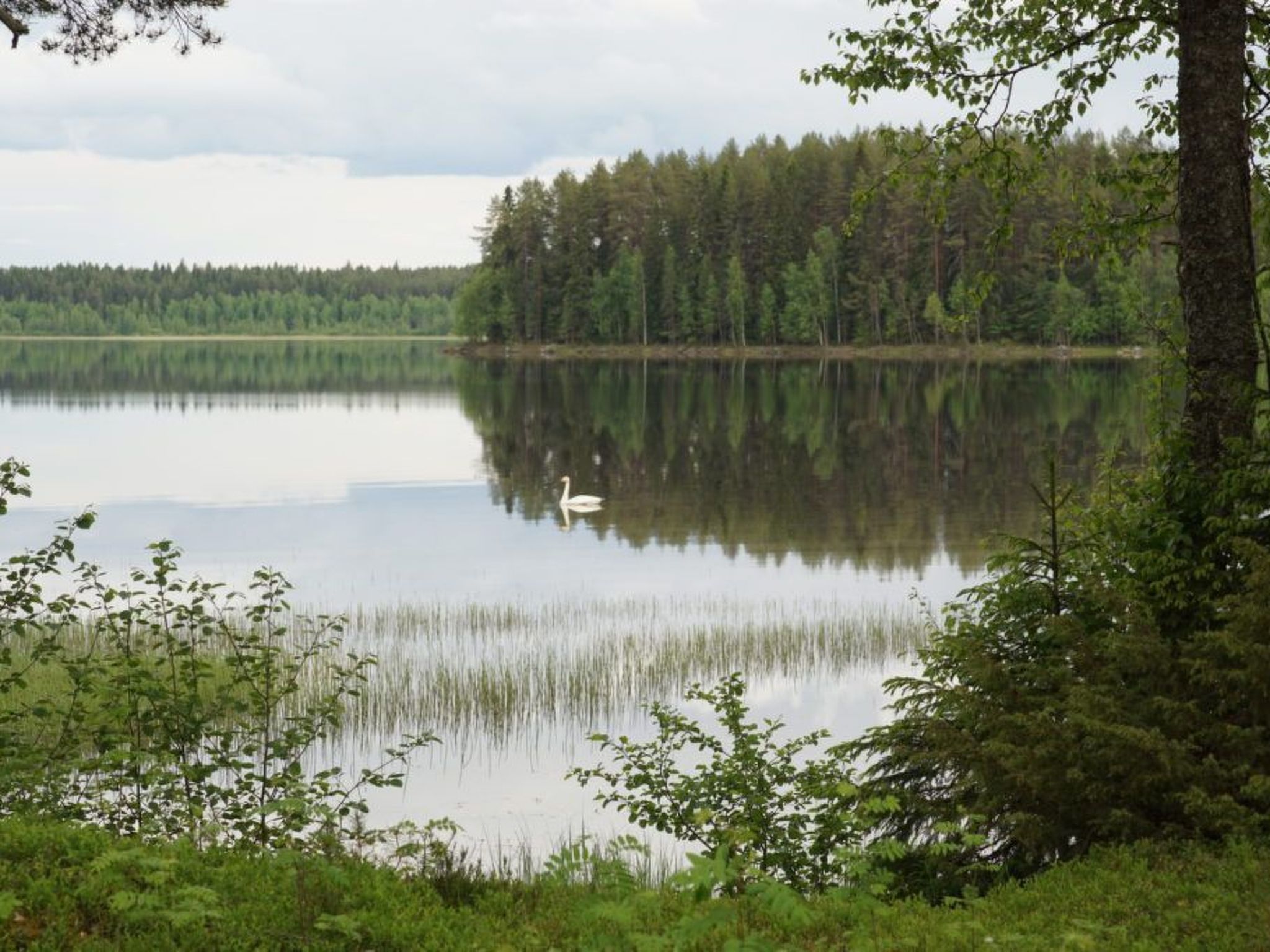 Ferienvilla mit Sauna und Garten am See-Outside