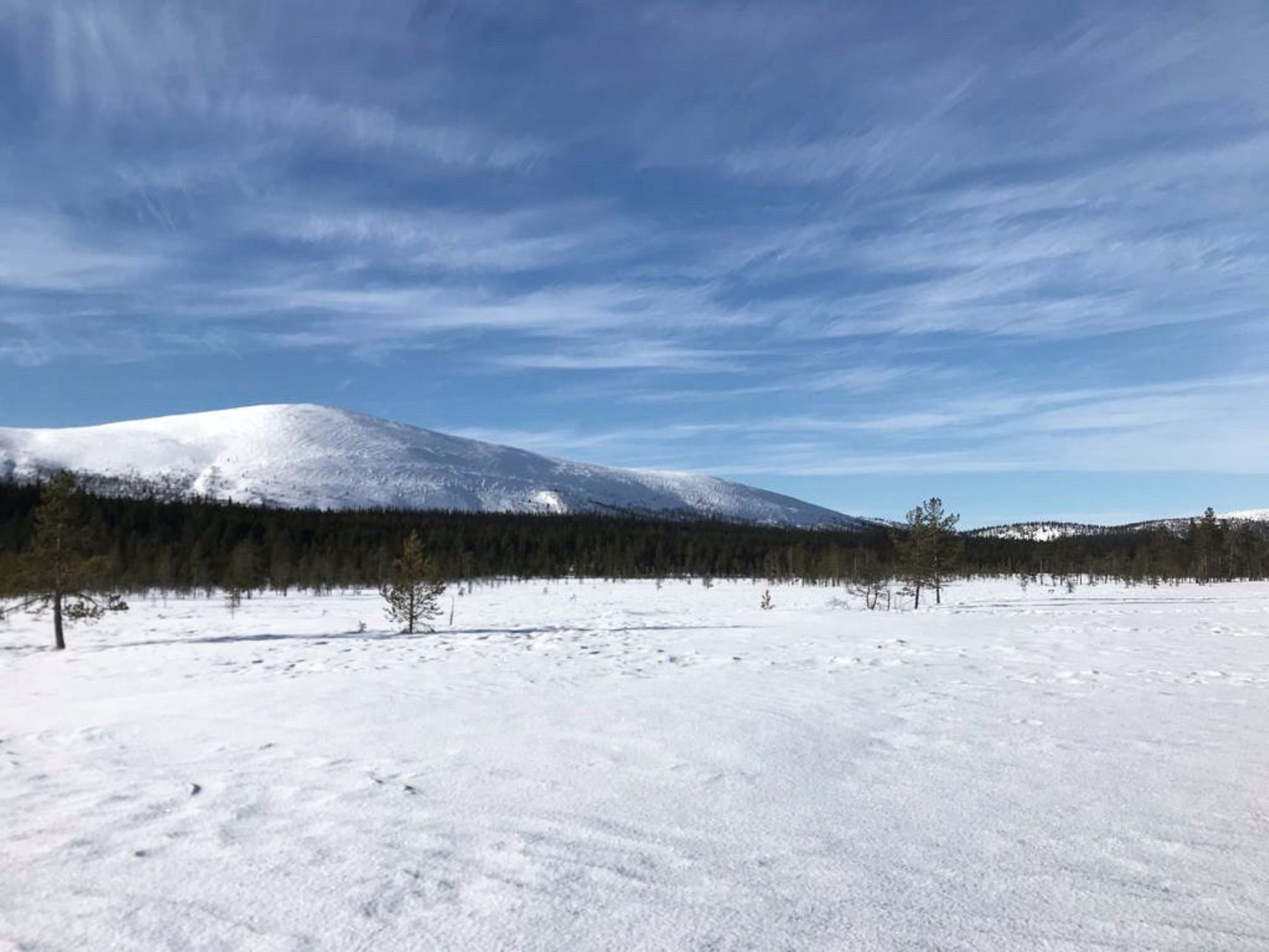 Kuukkeli