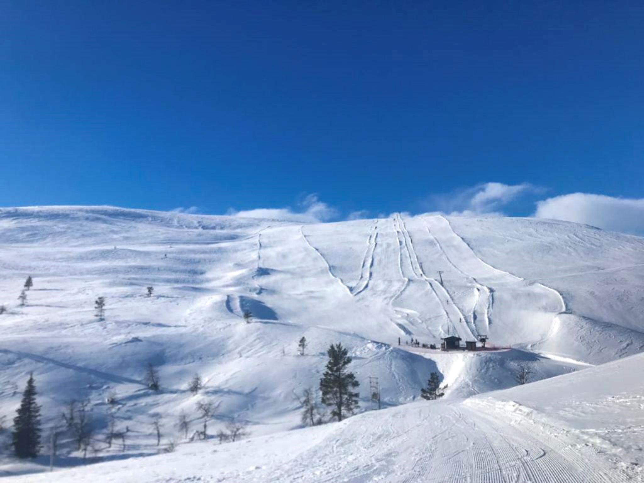 Kuukkeli