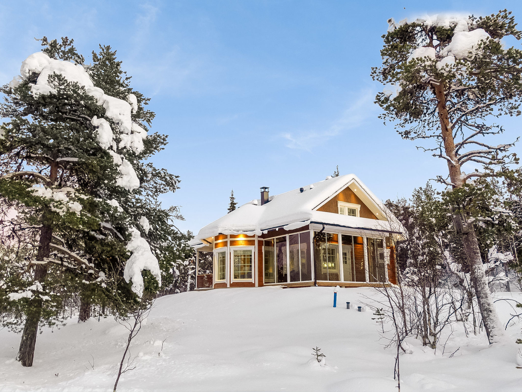 Villa tunturisopuli