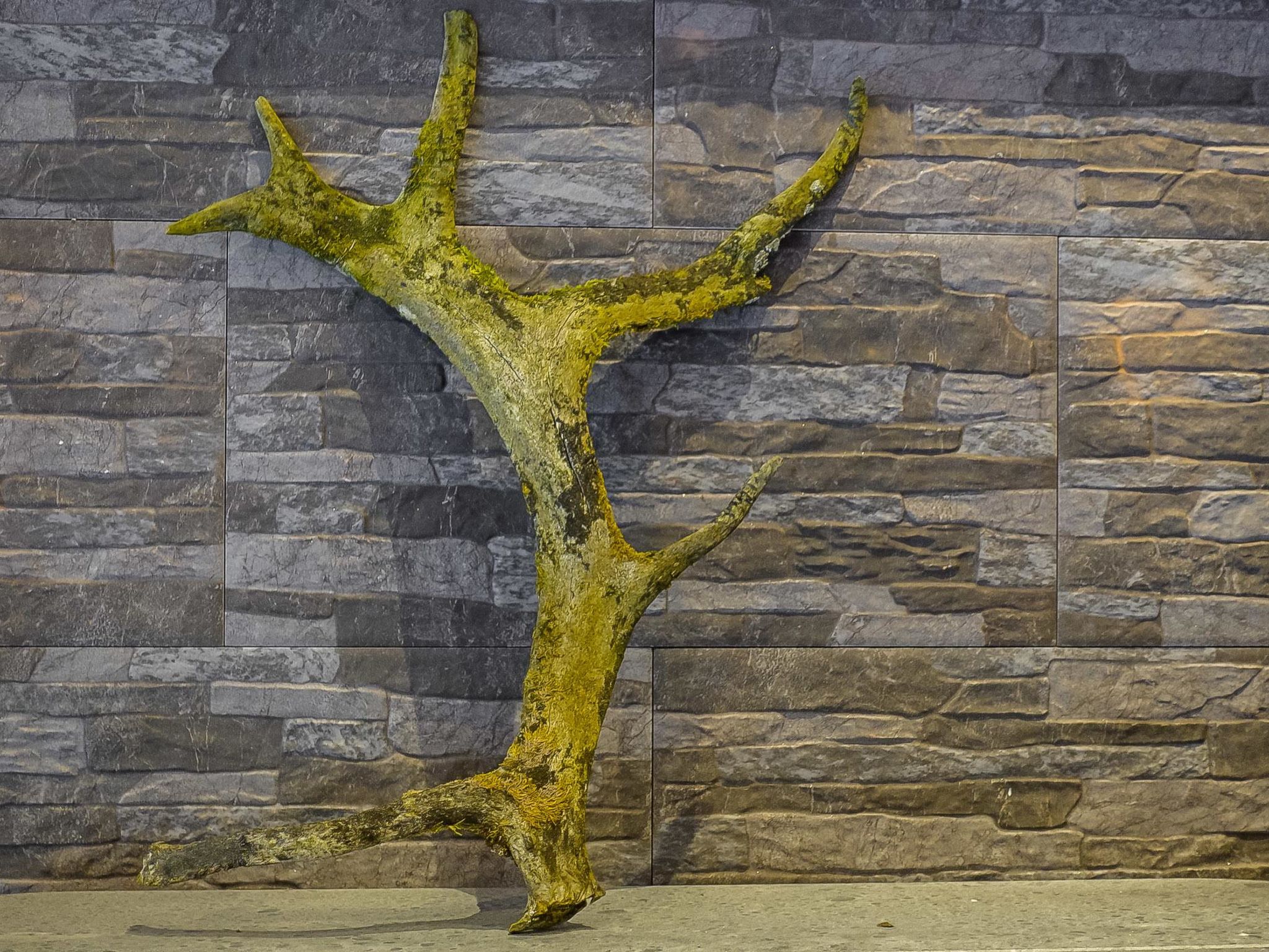 Villa tunturisopuli-Inside